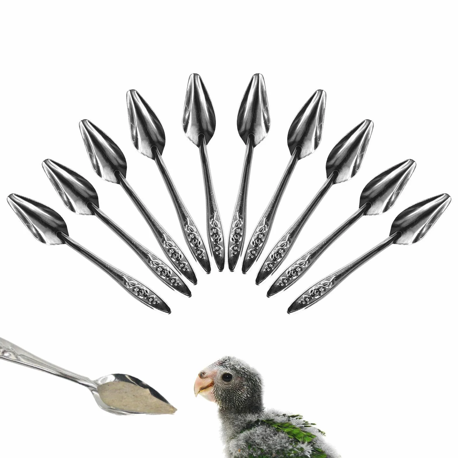 Cuillère à Nourrir pour Oiseaux en Métal 10 Pièces pour Perruches, Conures, Pivoine