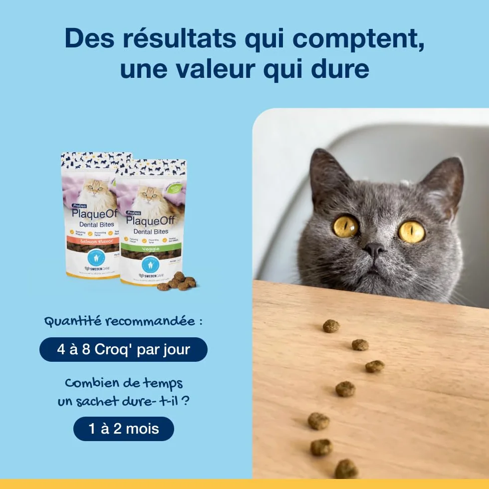 ProDen PlaqueOff Friandises Dentaires Croquantes pour Chats 60g Anti-Tartre Algue Naturelle