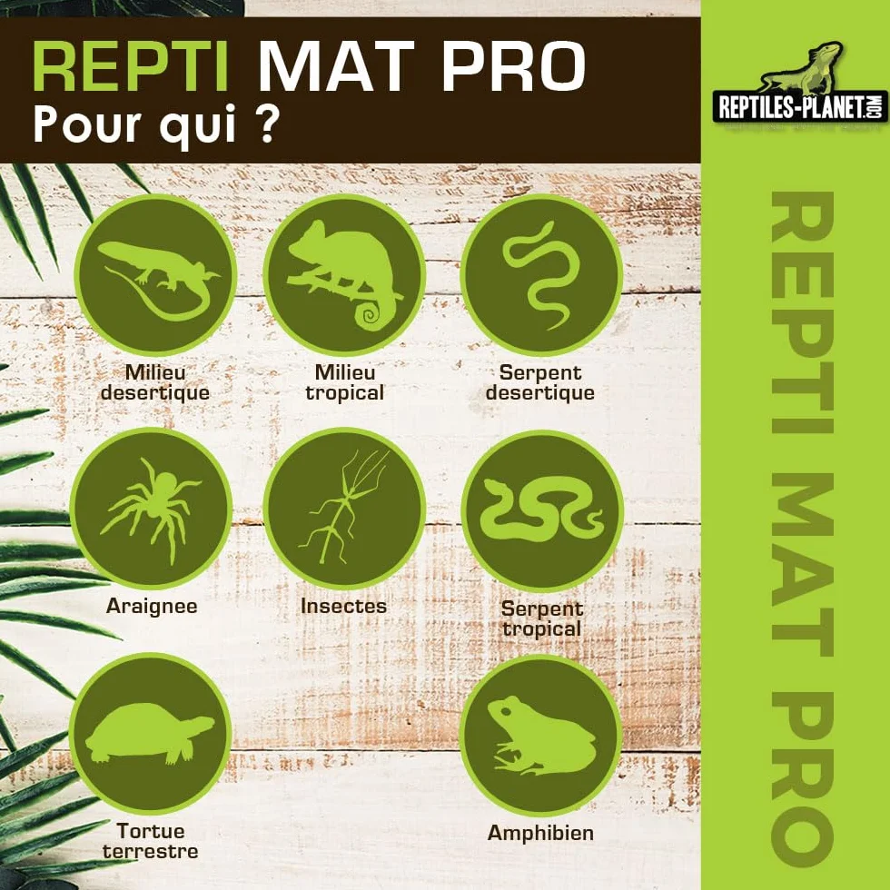 Reptiles Planet Repti Mat Pro Tapis Chauffant Terrarium Tropical 8 W 15 x 20 cm