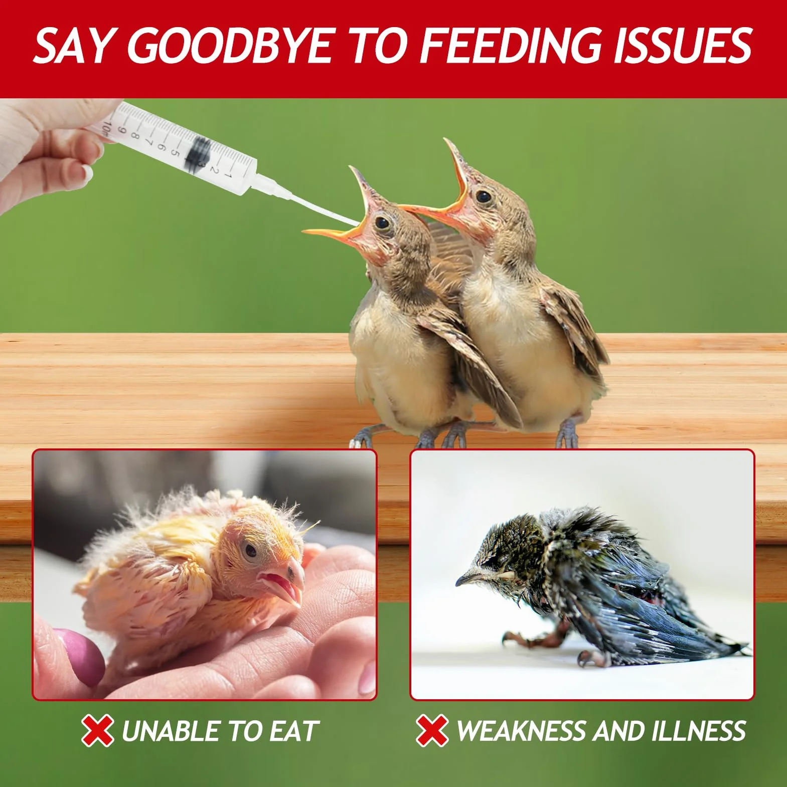 Seringue Alimentaire 10 ML pour Oisillons, Outil Bébés Oiseaux Perroquets
