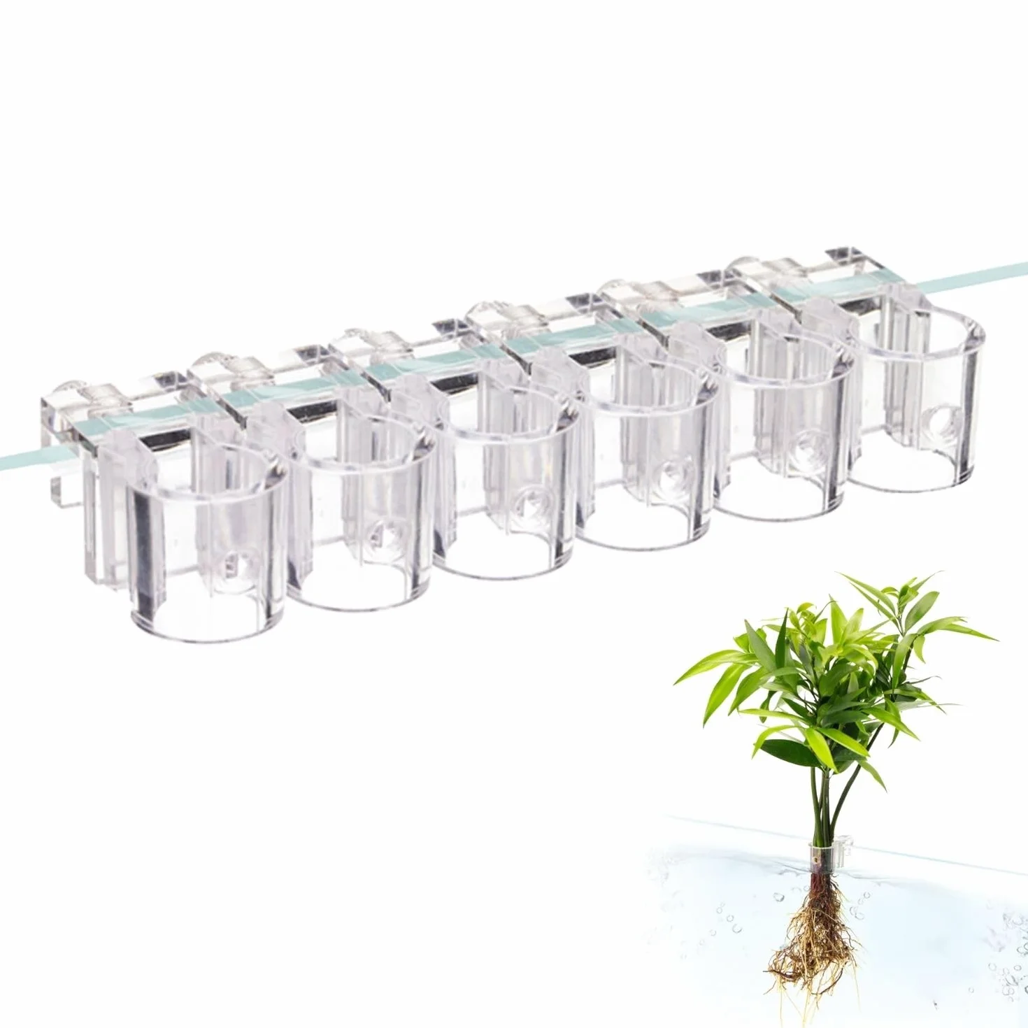 Supports pour plantes d'aquarium en acrylique - Lot de 6 clips réutilisables - Convient pour verre 0,39"-0,6"