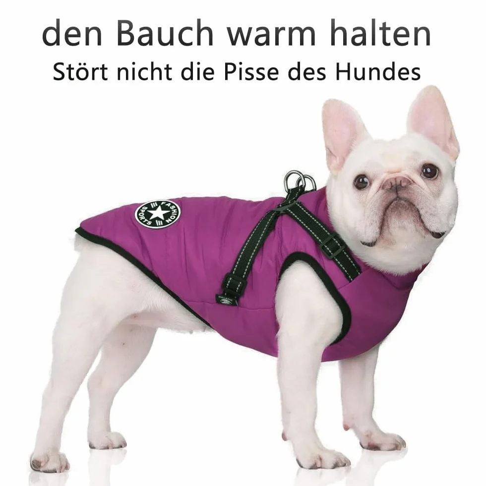 Manteau d'hiver imperméable pour chien avec harnais, bandes réfléchissantes, anneau en D durable, Violet 2XL