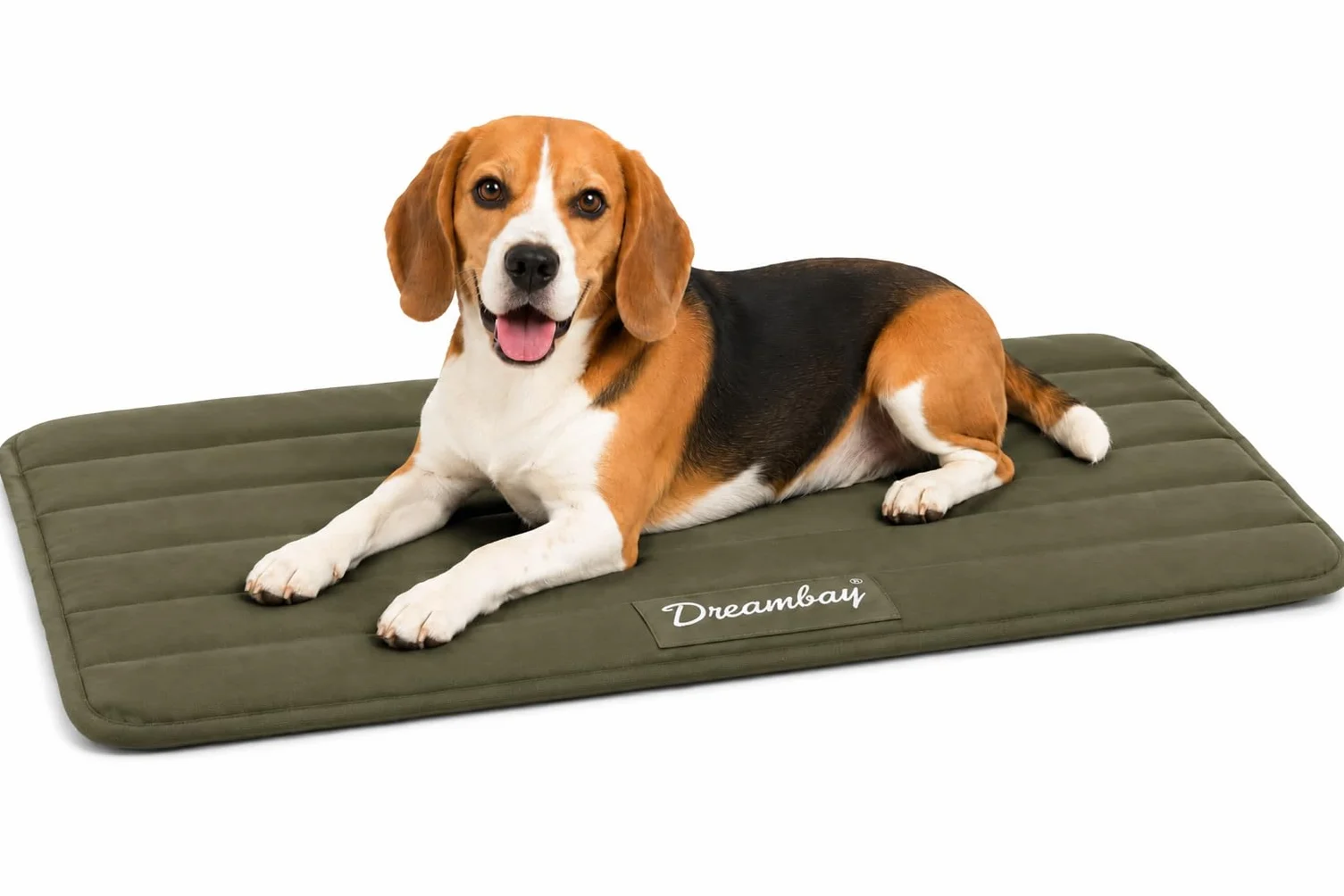 Coussin Orthopédique Dreambay® Memory Foam Vert Olive 85,5x51x2,3cm pour Chien et Chat