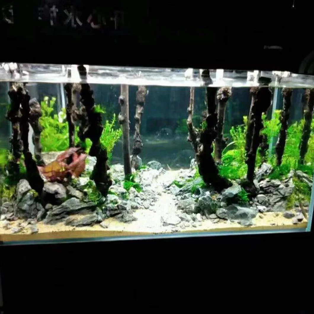 Lot de 10 branches de forêt naturelle pour terrarium aquarium Décoration 0,2-1 cm 20,3-33 cm
