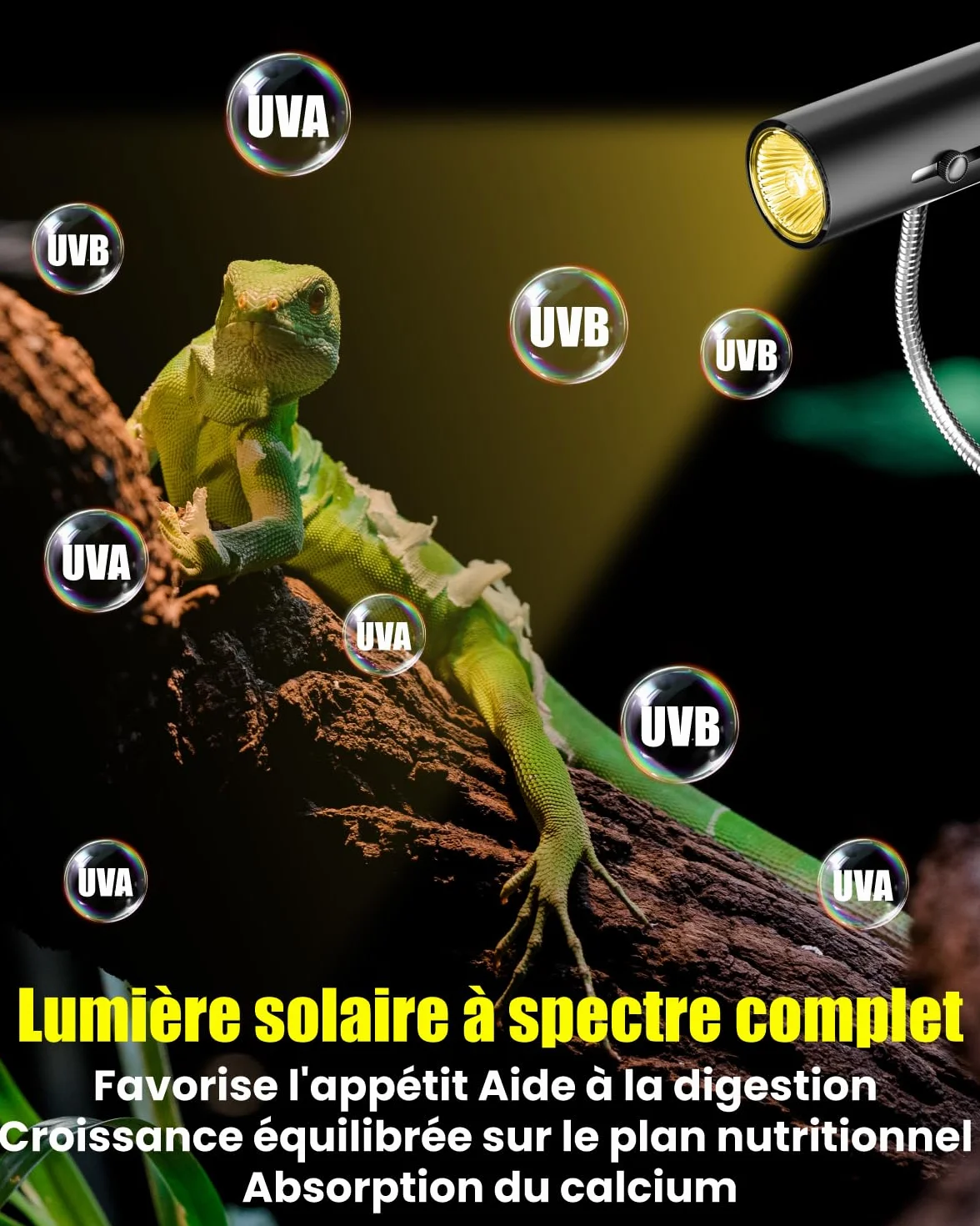 Lampe Chauffante Reptiles Tortue UVA UVB 50W E27 avec Douille Flexible 360° Rotation