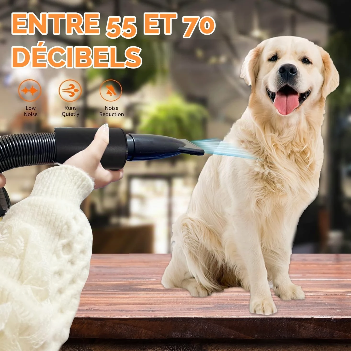 Professionnel Souffleur Chien,3200W Souffleur de Soins pour Chien | Pour Animaux Vitesse Continue et température réglable,5 Buses
