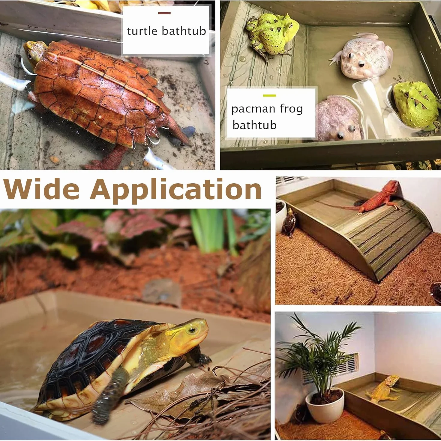 Abreuvoir Tortue Terrestre Bac à Eau avec Rampe Accessoire Aquarium Reptile
