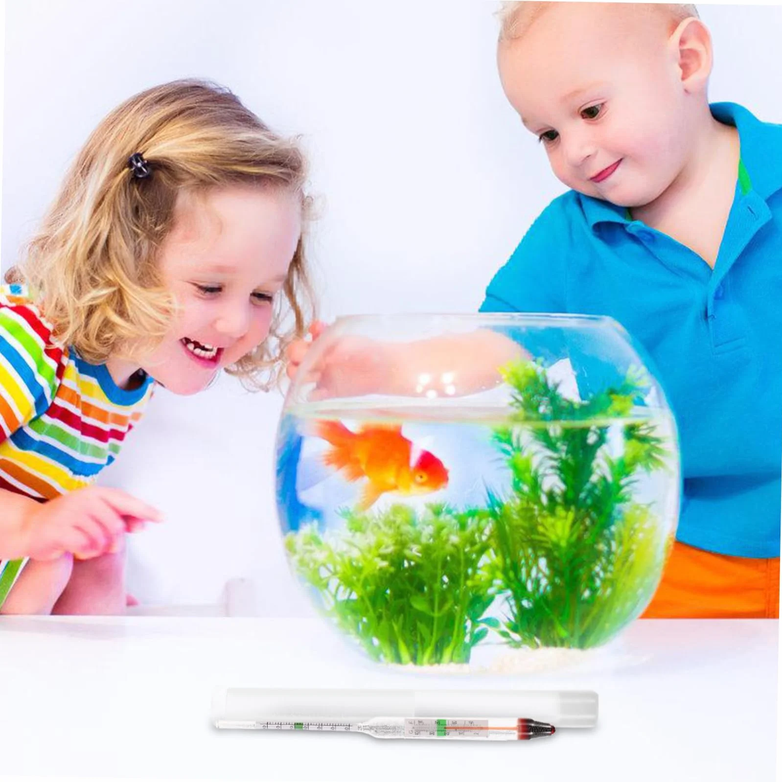 Toddmomy Densimètre Pour Aquarium Hydromètre De Salinité Kit De Test Eau De Mer Mesureur De Densité Verre