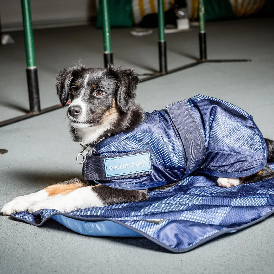 Back-on-Track Manteau Rafraîchissant Anti UV Cool on Track pour Chien Bleu 40 cm