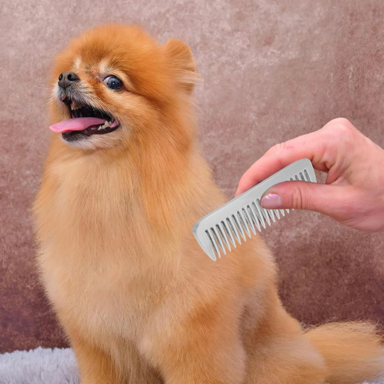 Toddmomy Peigne À Dents pour Cheval Brosse À Dents en Anneau Peigne en Métal pour Chiens