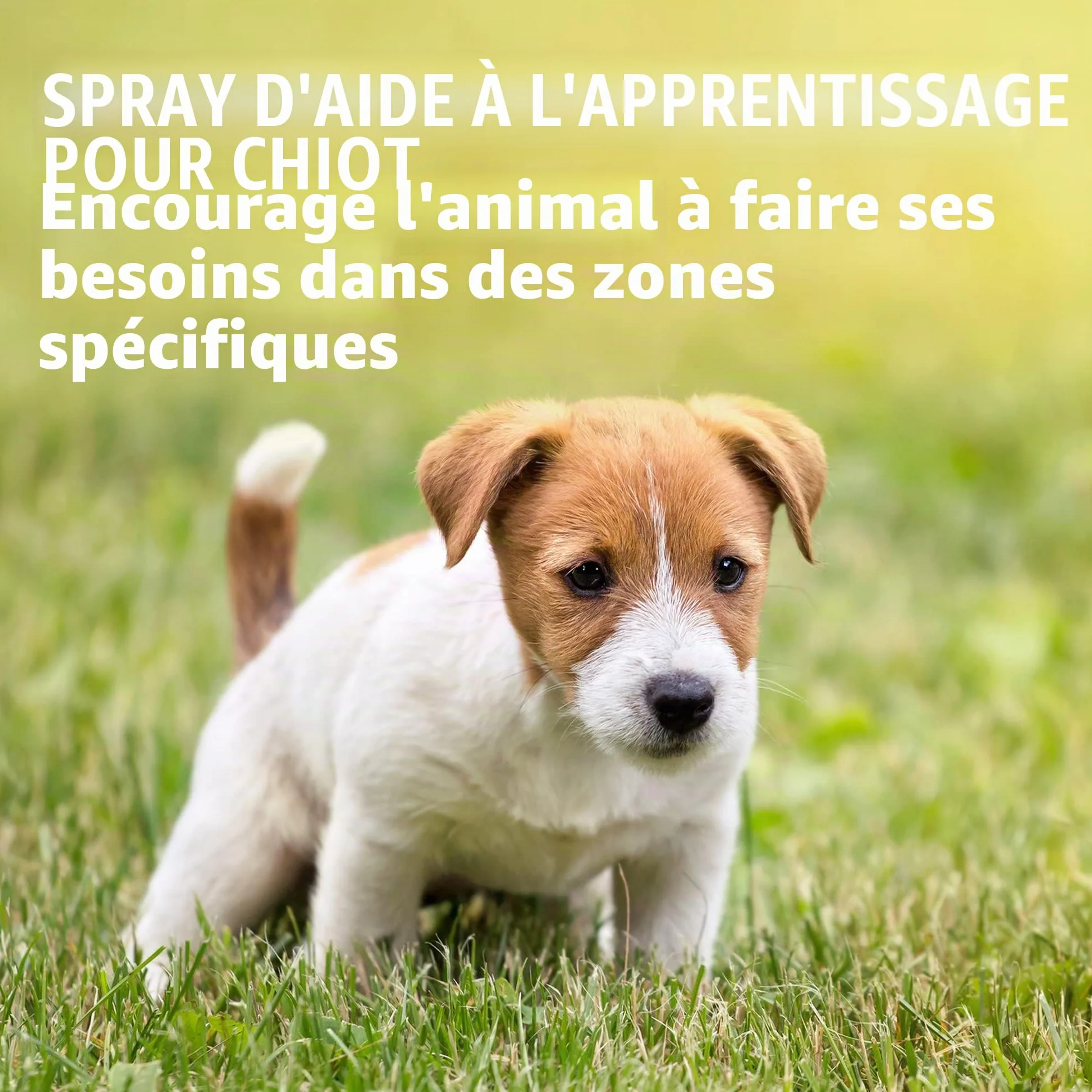 Simple Solution Attrayant pour les Chiens qui Urinent 500ml