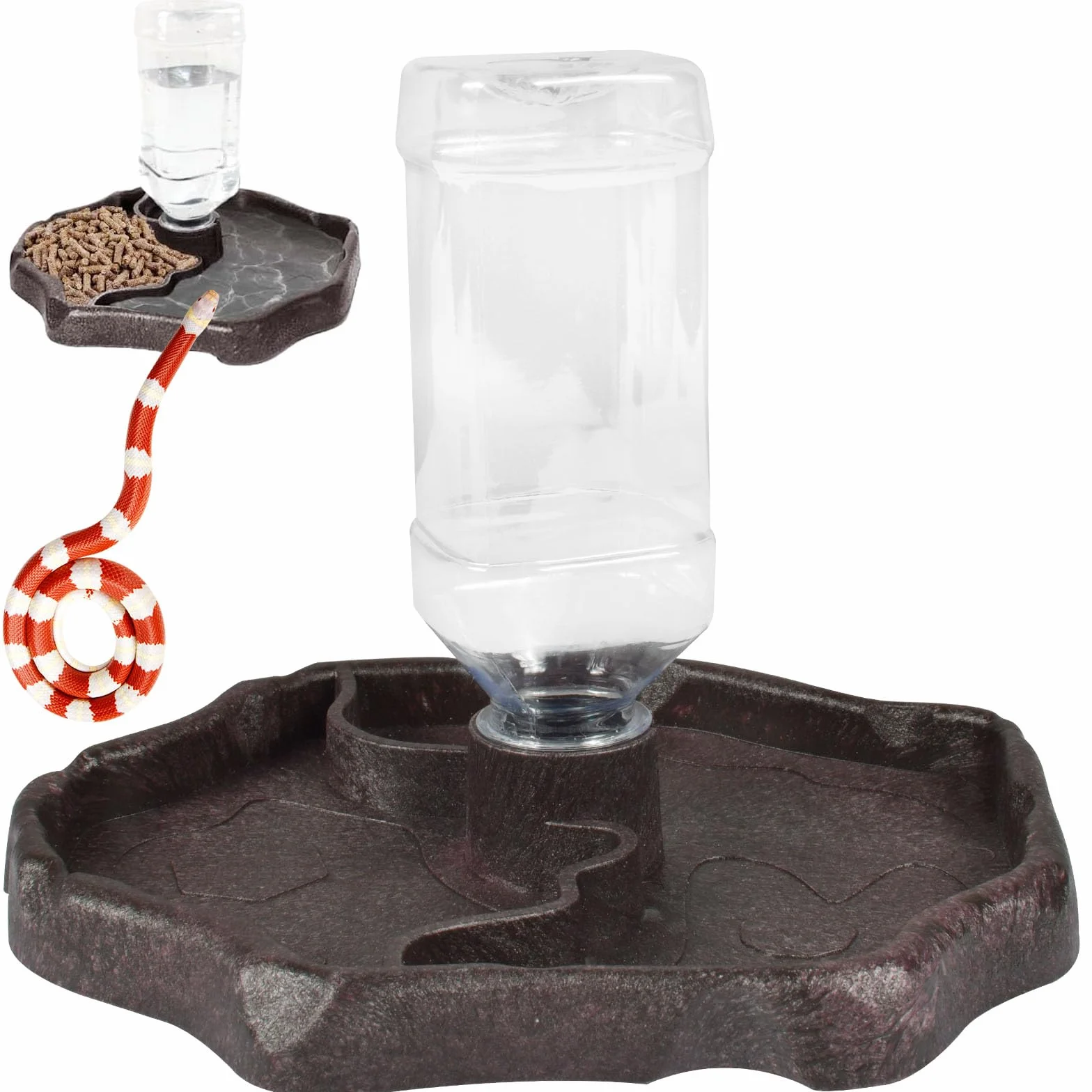 Funmo Distributeur d'eau pour Reptile 2 en 1 Anti Débordement Plastique Brun