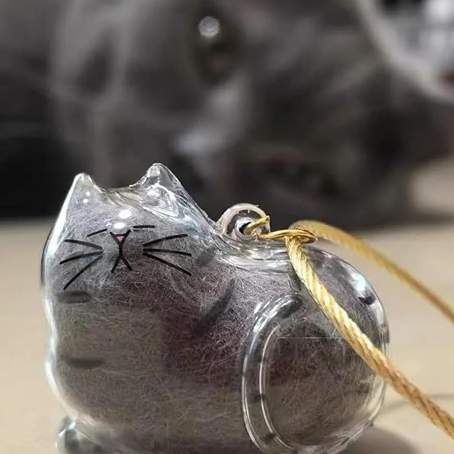 Porte-Clés en Acrylique Transparent pour Poils de Chat, Souvenir Fourrure Animaux