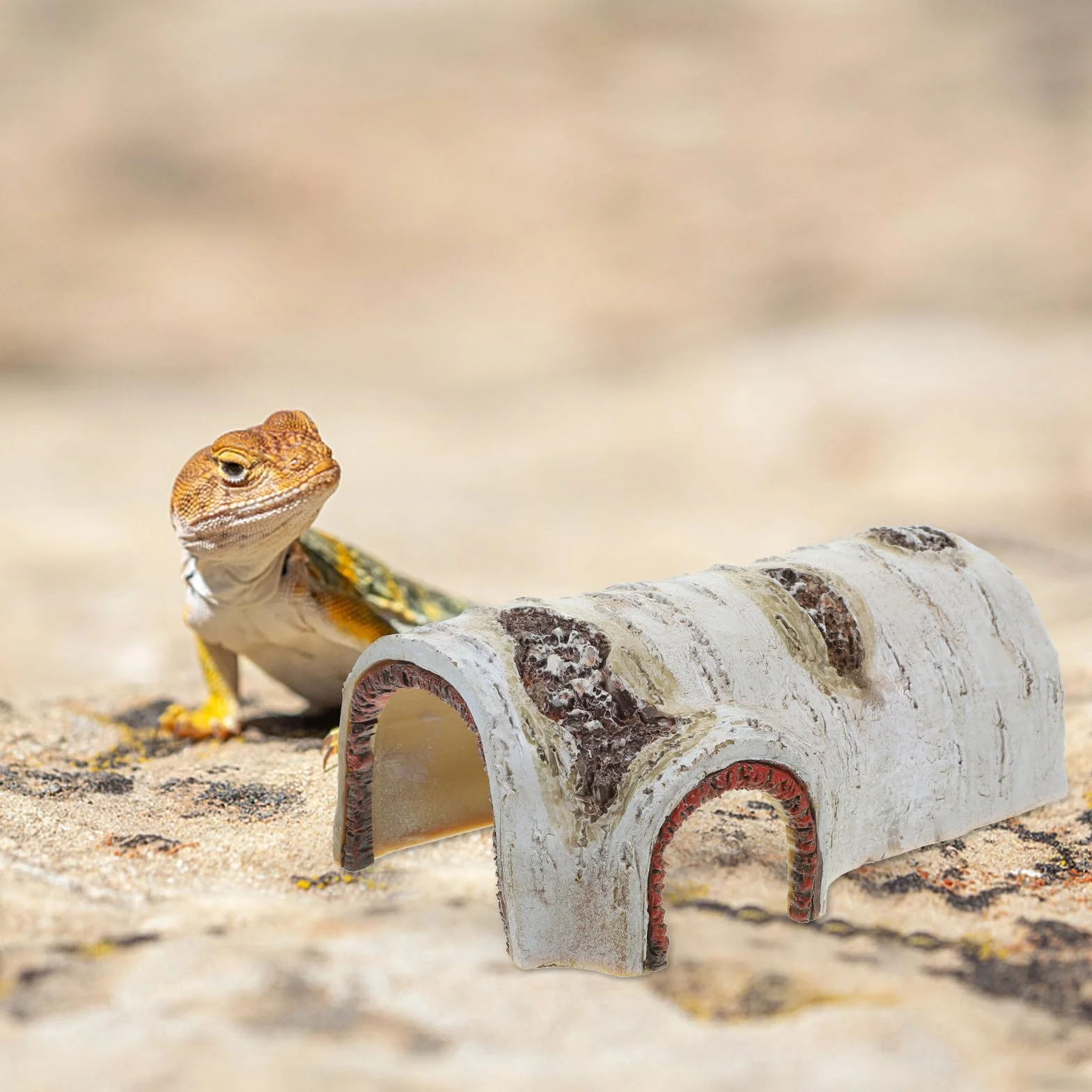 Maison Tortue Terrestre Exterieur Résine Naturelle Grotte Décorative Reptiles Abri Cachette Petits Animaux