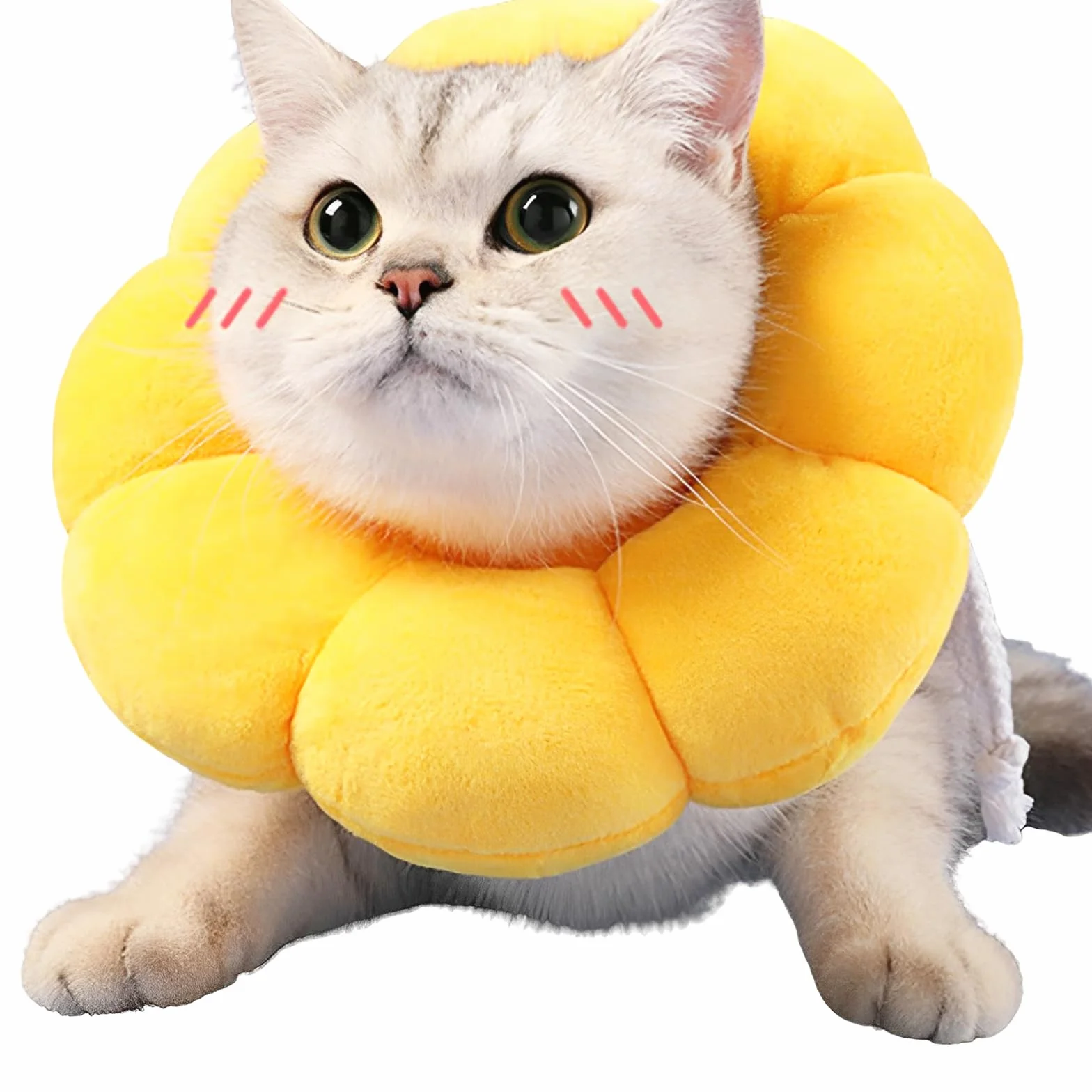 Collier de Protection pour Chat Anti-Léchage Réglable Doux 8-25 cm