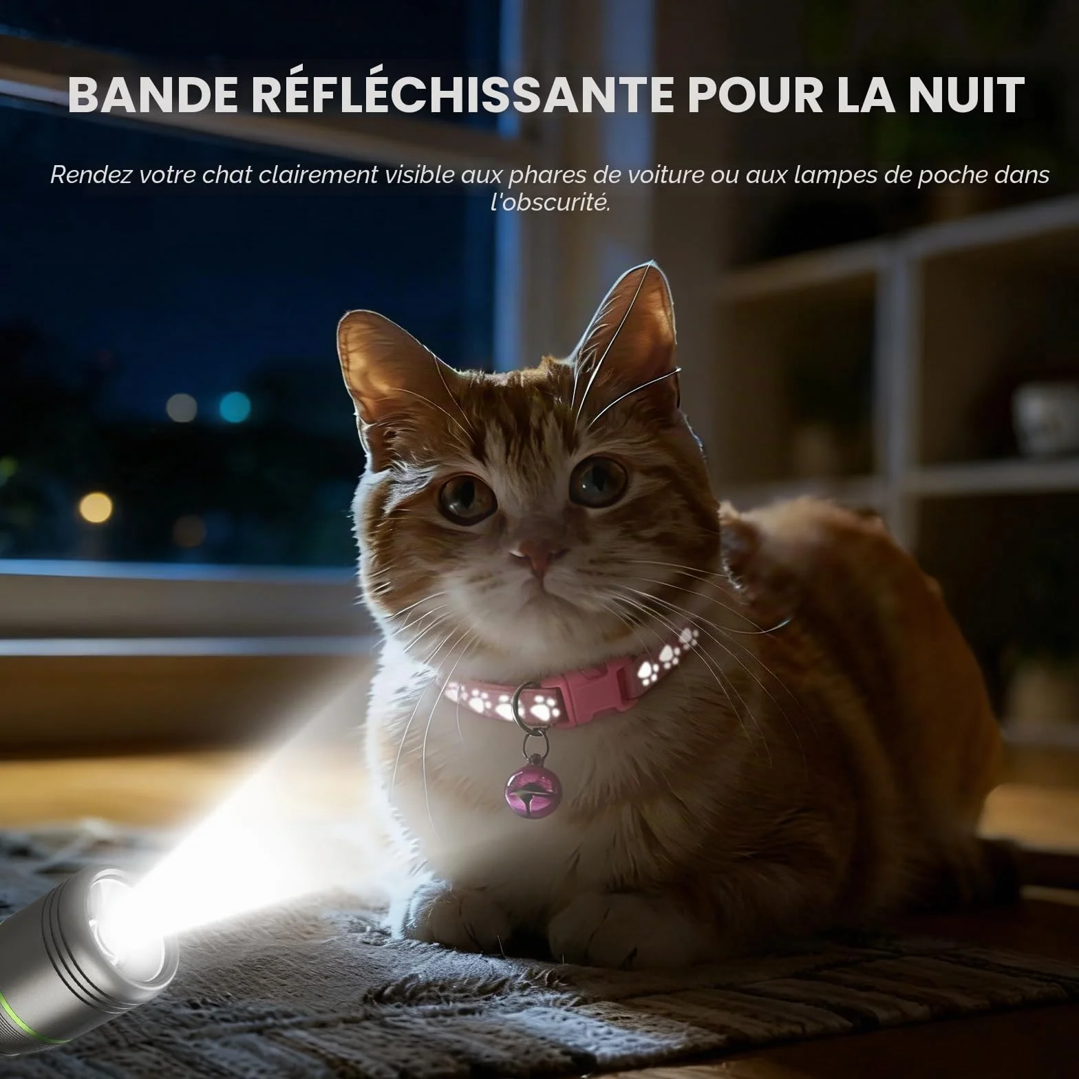 Kit Collier Chat Anti Étranglement Réglable Réfléchissant avec Clochette de Sécurité 12 Pièces