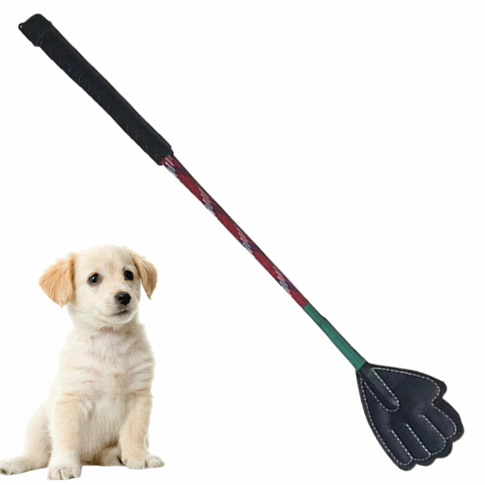 Bâton de dressage pour animaux de compagnie, portable pour chiots, multifonctionnel