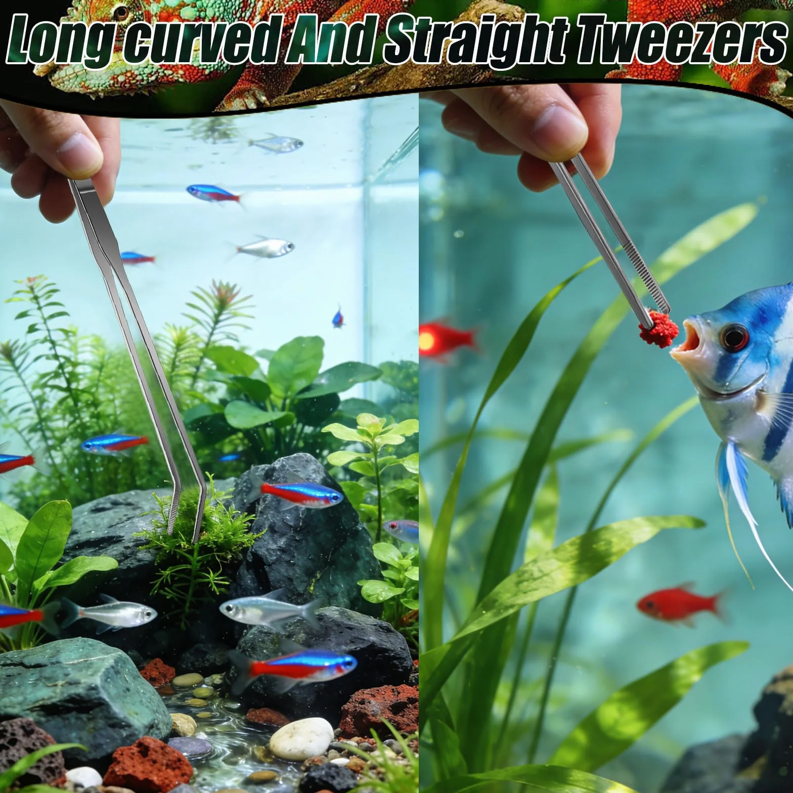 Pinces d'alimentation pour Reptiles 27 cm Pince Aquarium Protège Les Doigts Brucelle Argent