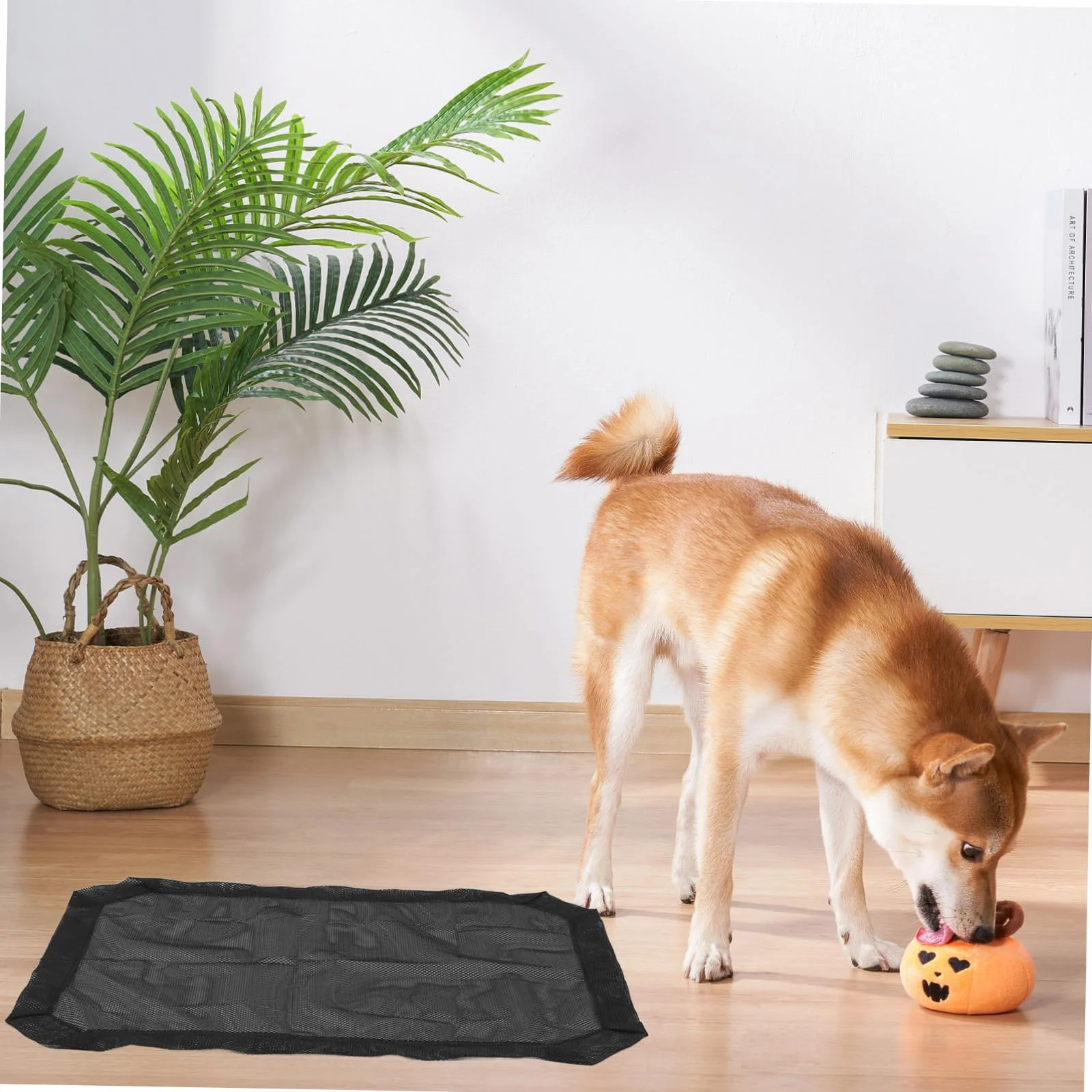 TOYANDONA Housse de Lit pour Animaux en Tissu Mesh Noir Rectangulaire pour Quatre Saisons