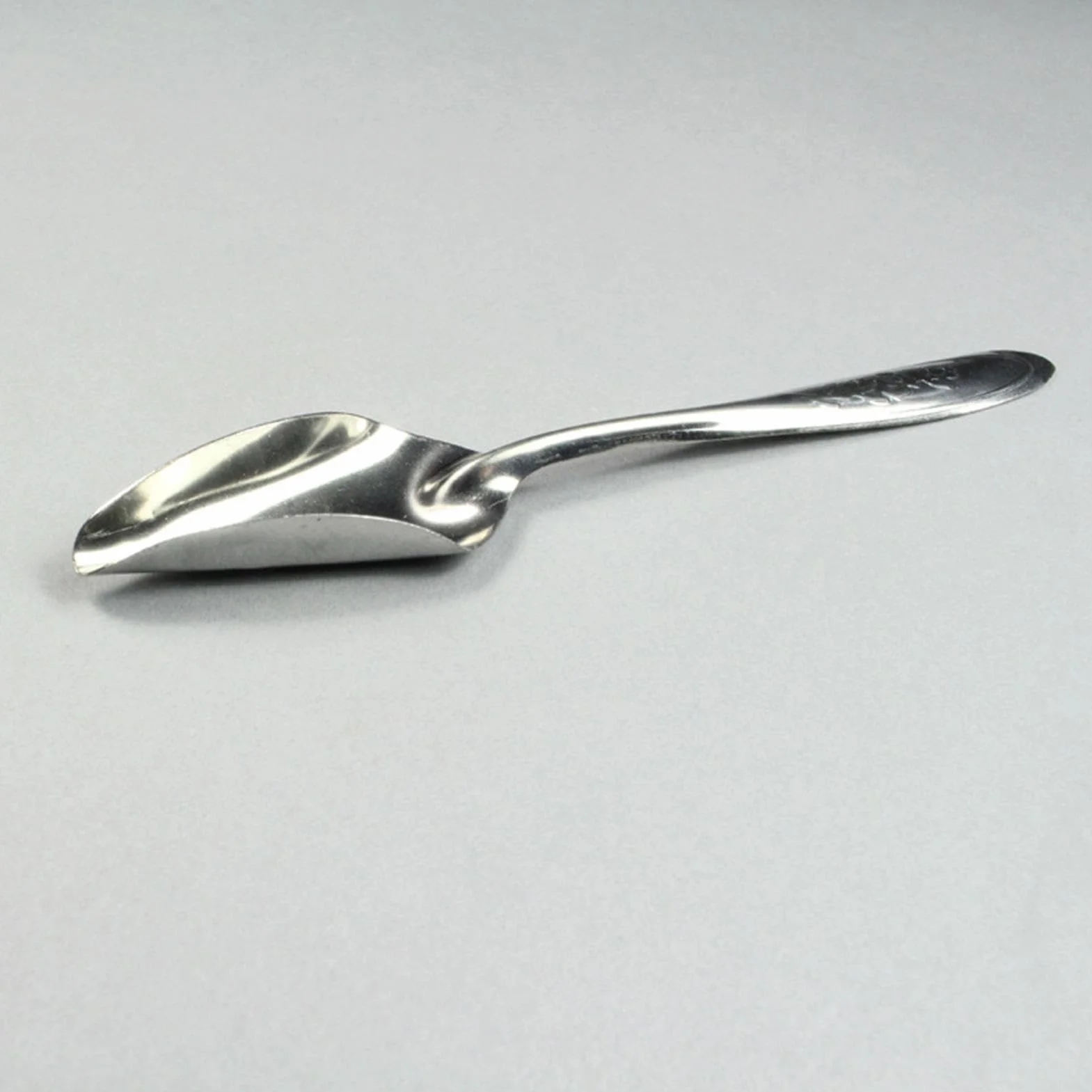 Cuillère à Nourrir pour Oiseaux en Métal 10 Pièces pour Perruches, Conures, Pivoine