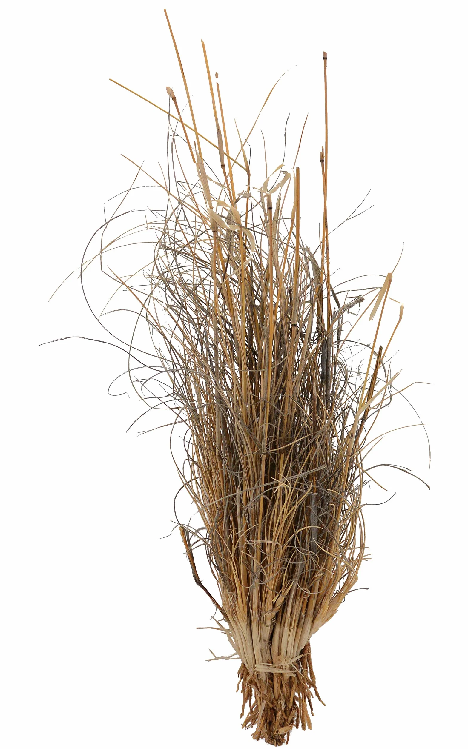 Lucky Reptile dlg 01 Gras Touffe 25-40 cm