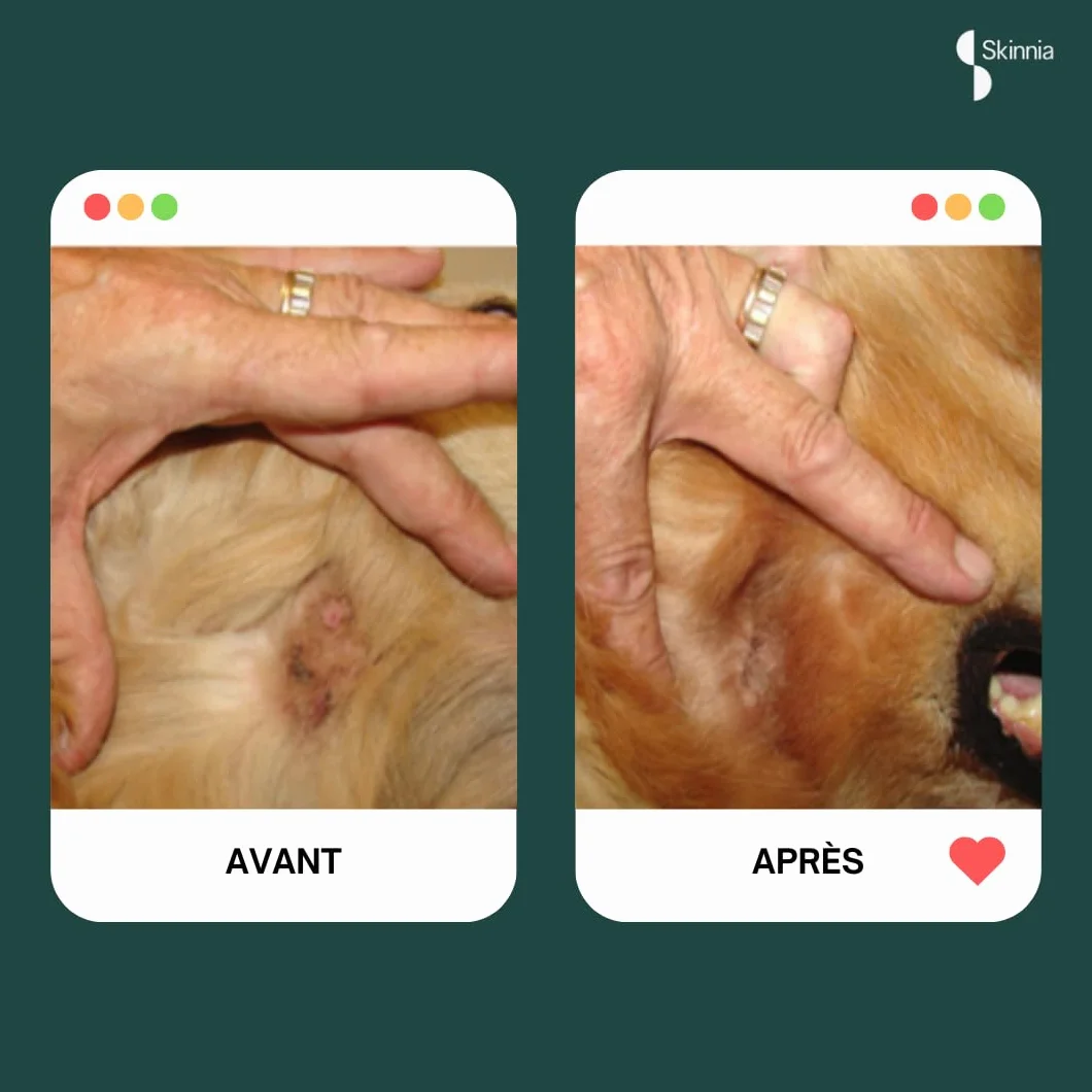 Wounds Pansement cicatrisant en Gel pour Animaux 30 GR