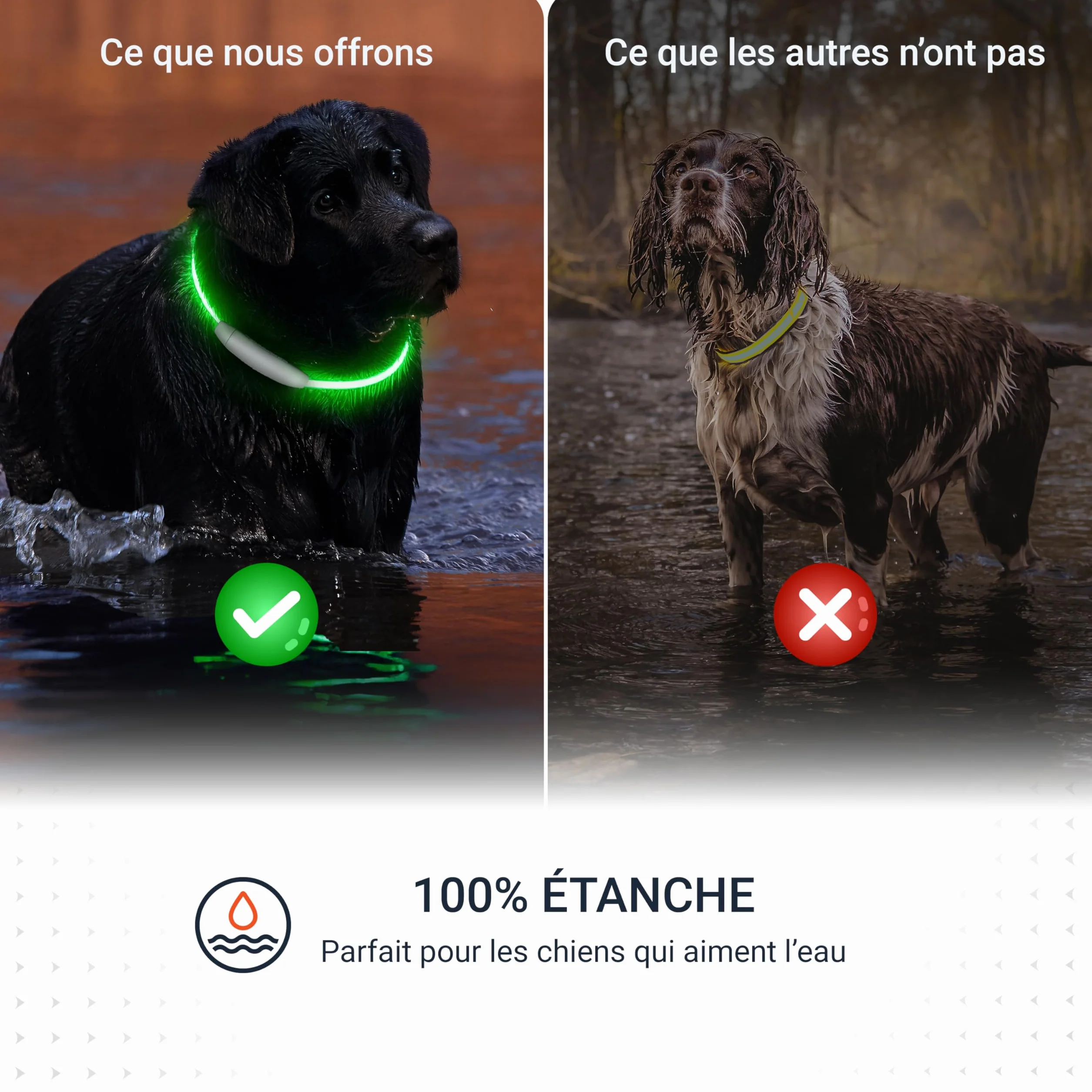 PAJ Light LED Collar Collier Lumineux Chien Longueur Personnalisable 20-70cm 100% étanche 7 Couleurs Nuit
