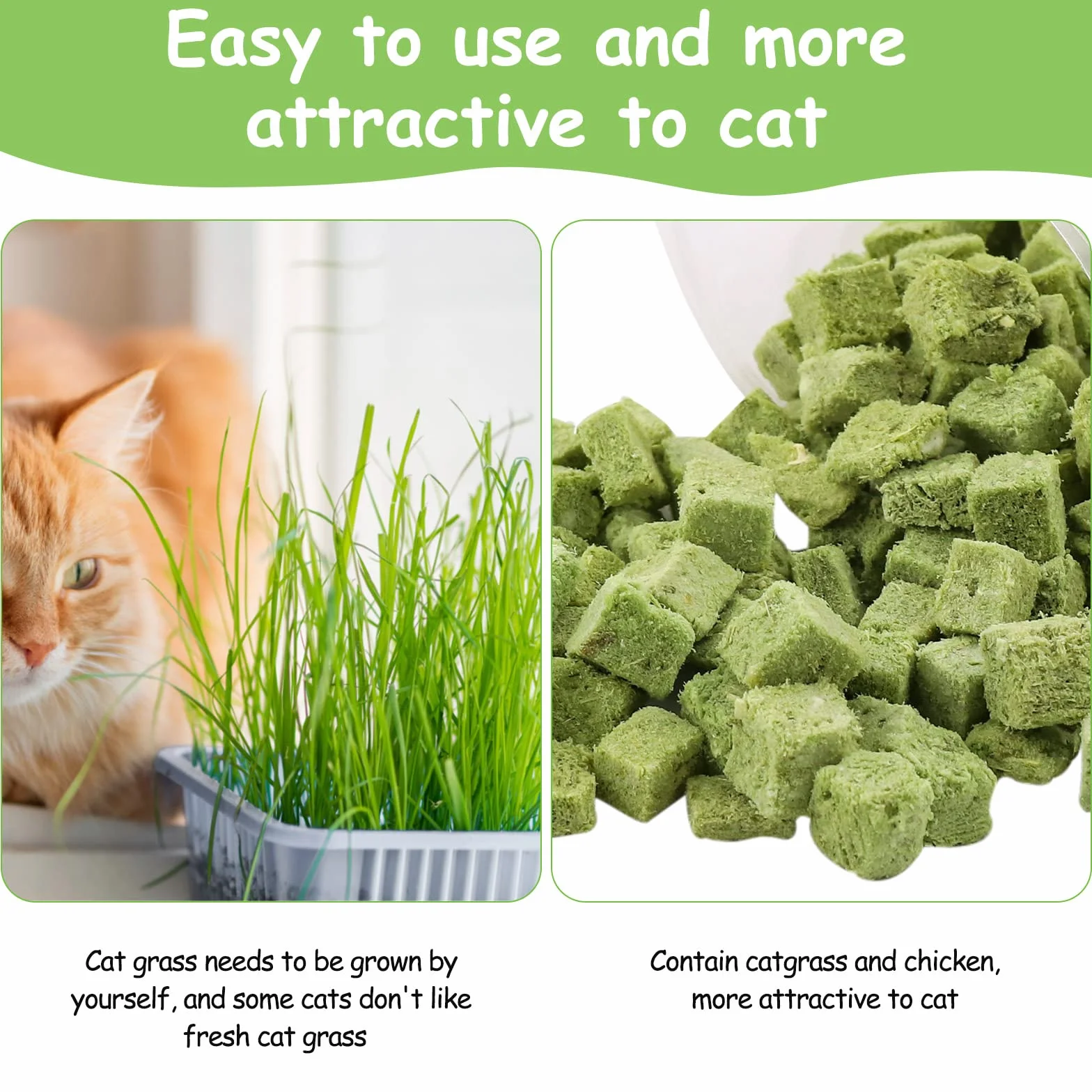 120g Collations pour Chats Herbe à Chat, Gâterie Lyophilisée pour Nettoyage des Dents