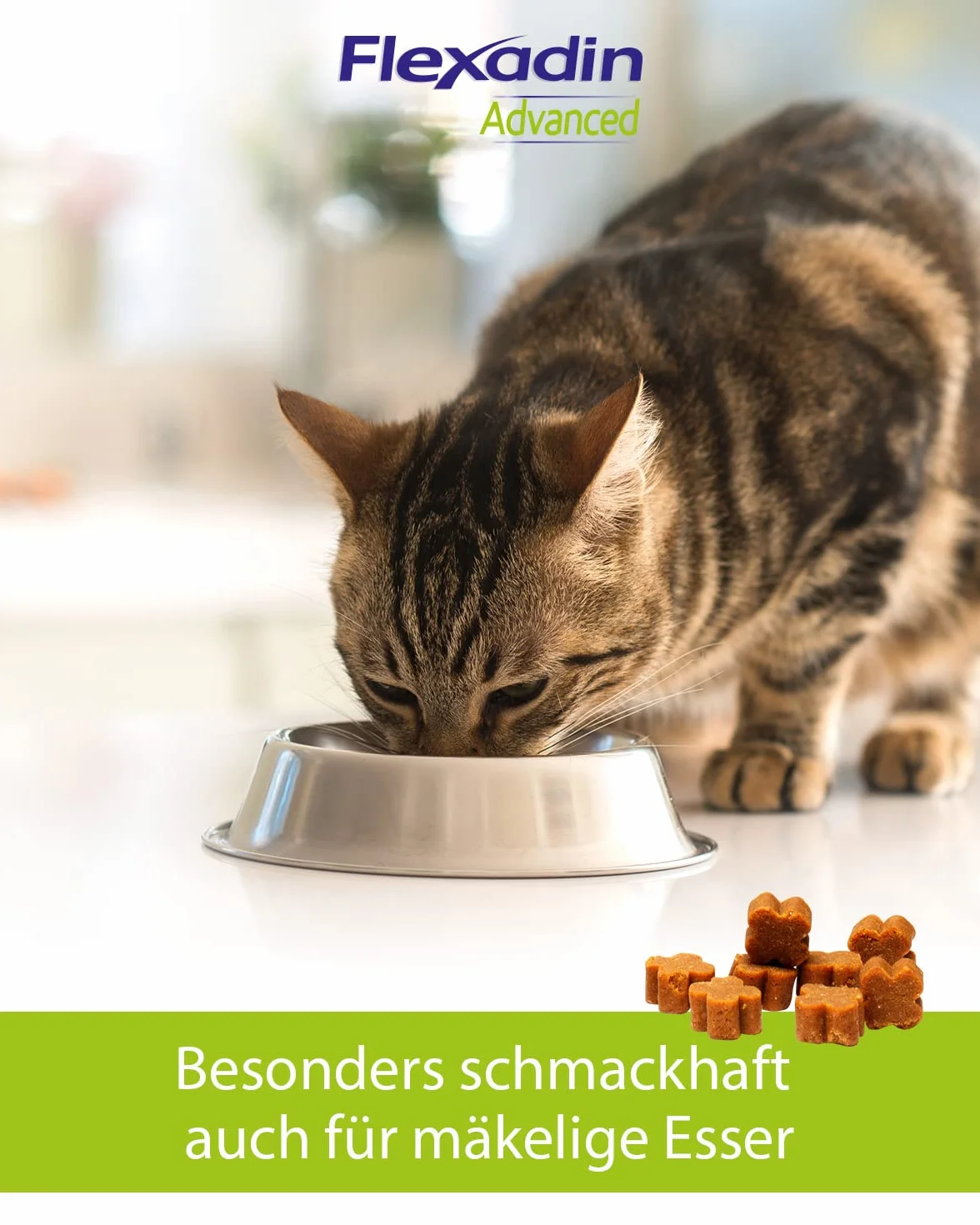 FLEXADIN ADVANCED® Chat 60 friandises articulaires Collagène non dénaturé type II