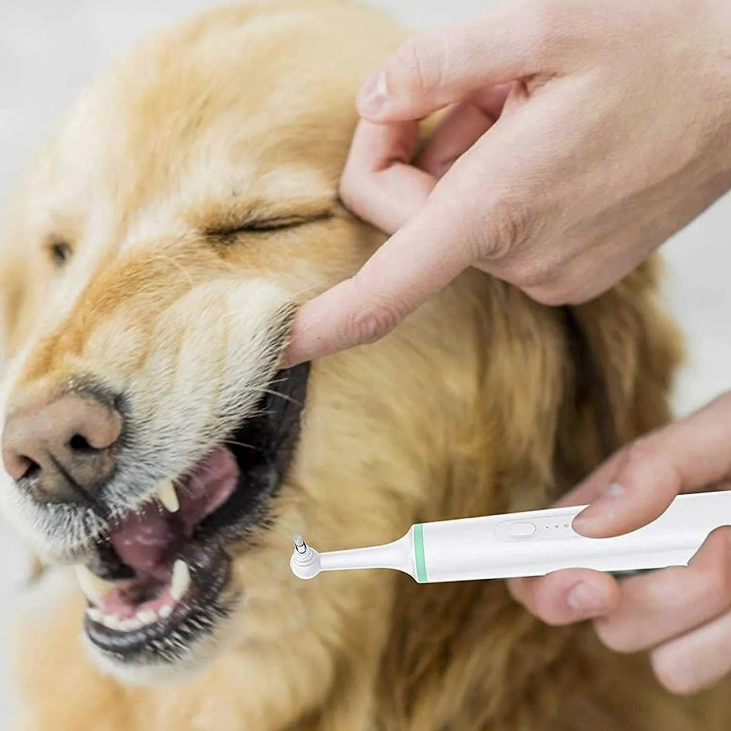 Brosse à dents électrique pour animal domestique - Outil de nettoyage de la bouche de chien - Brosse à dents à ultrasons pour chien avec 4 têtes de brosse pour effacer les taches, polisseuse à dents
