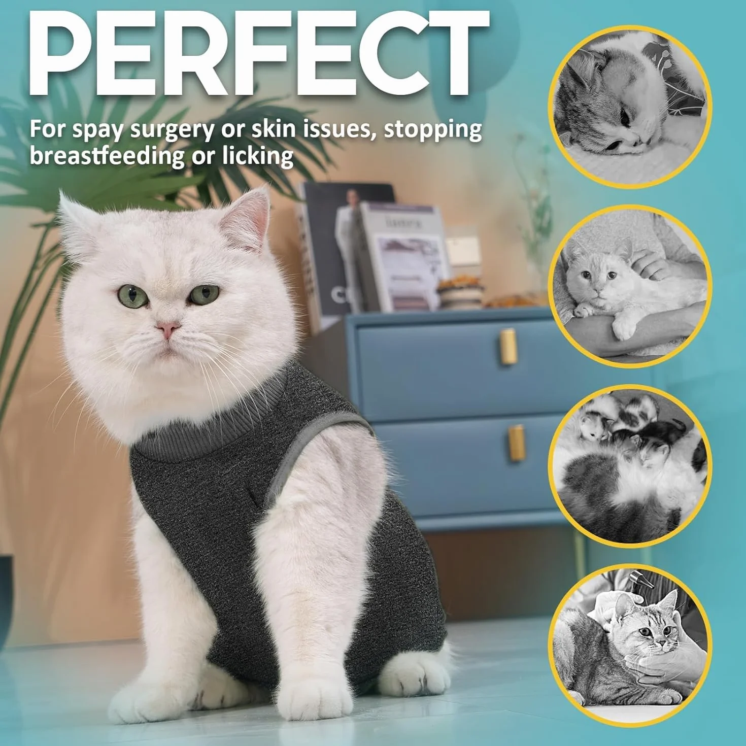 Combinaison de Récupération pour Chat Anti Léchage Avont, Post Opératoire Stérilisation, Protection Post-Chirurgie, Gris (M)
