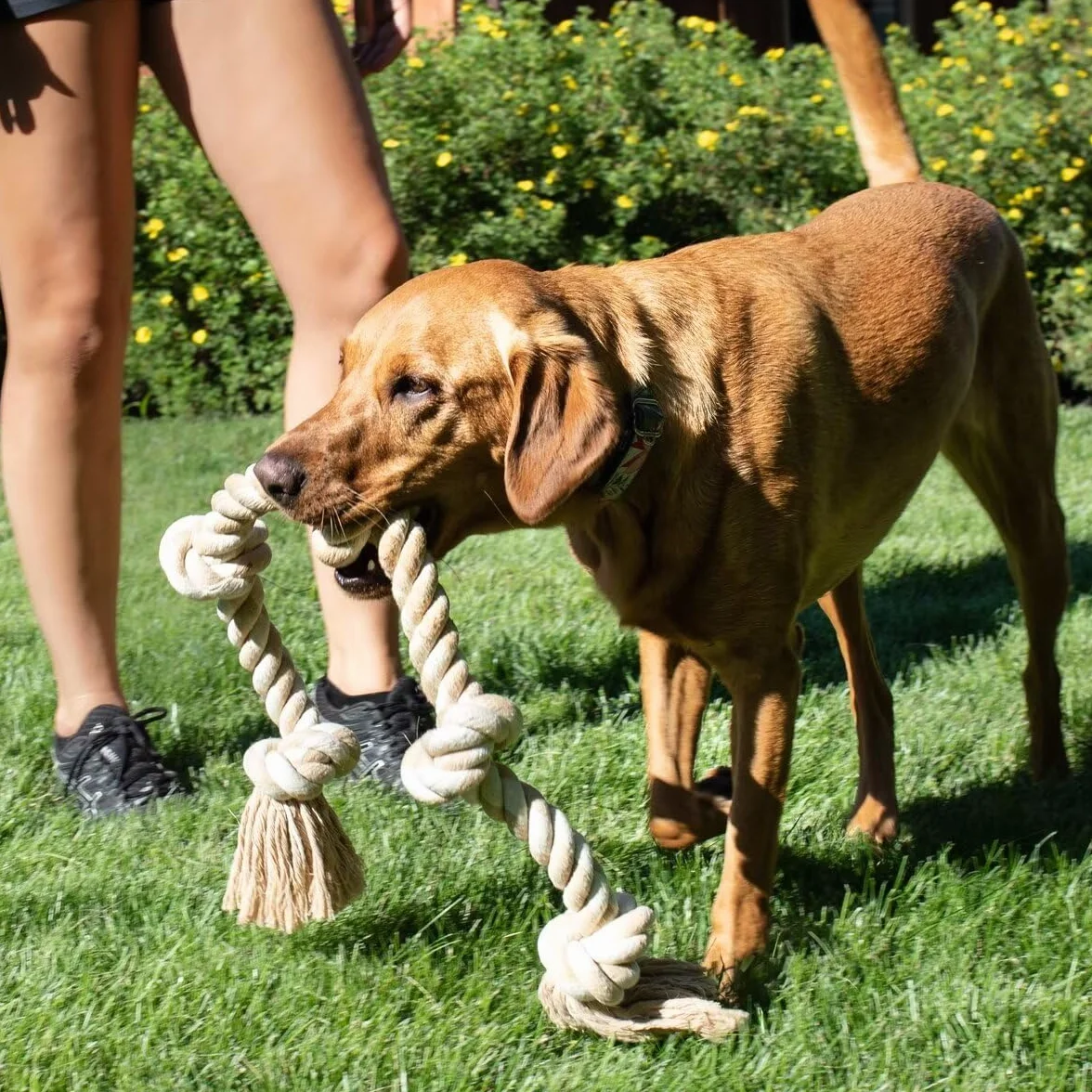 Fida Jouet en corde pour grands chiens 92 cm indestructible coton naturel
