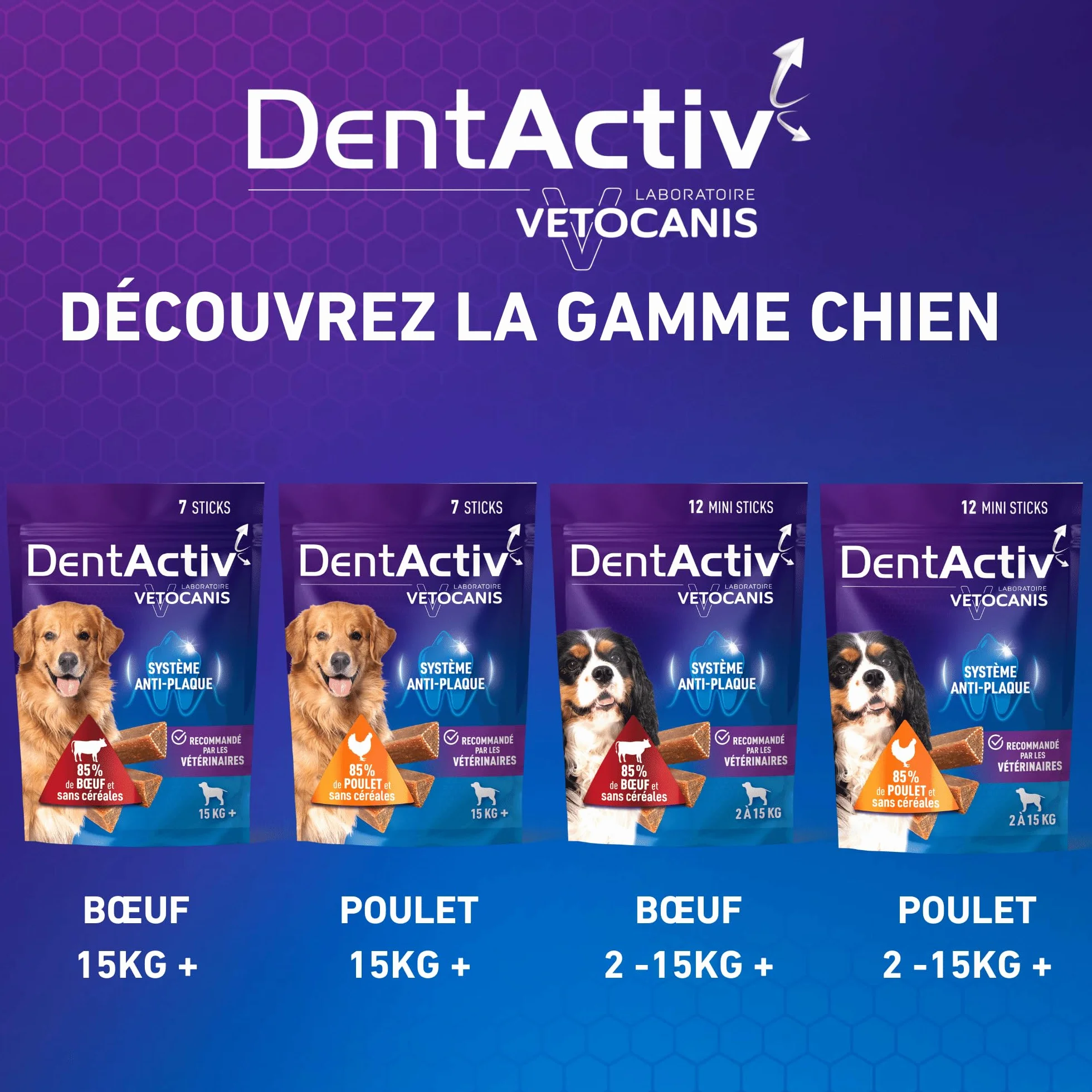 Vetocanis Dentactiv Stick Dentaire Friandises pour Chien 85% Poulet Hygiène Santé 2-15kg