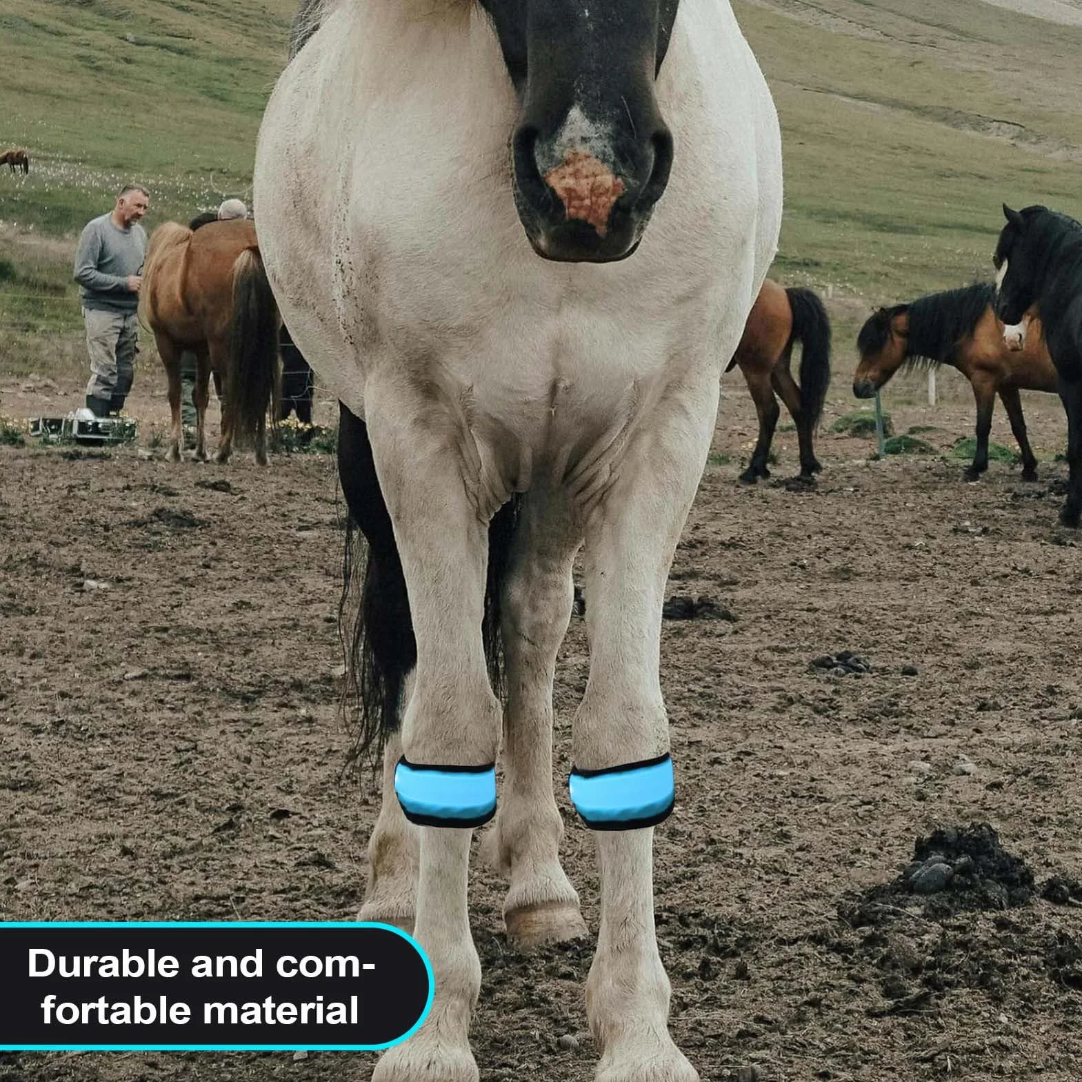 Sangles réfléchissantes pour chevaux – Bandes de cheville LED en nylon durable avec lumière vive, accessoires équestres de sécurité réglable