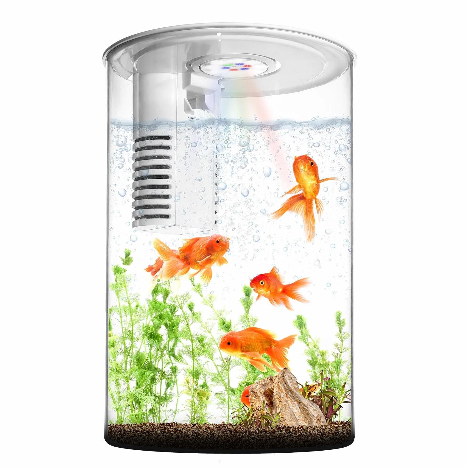 Veilleuse Zingbabu pour aquarium, lumière à spectre complet, filtre, blanc
