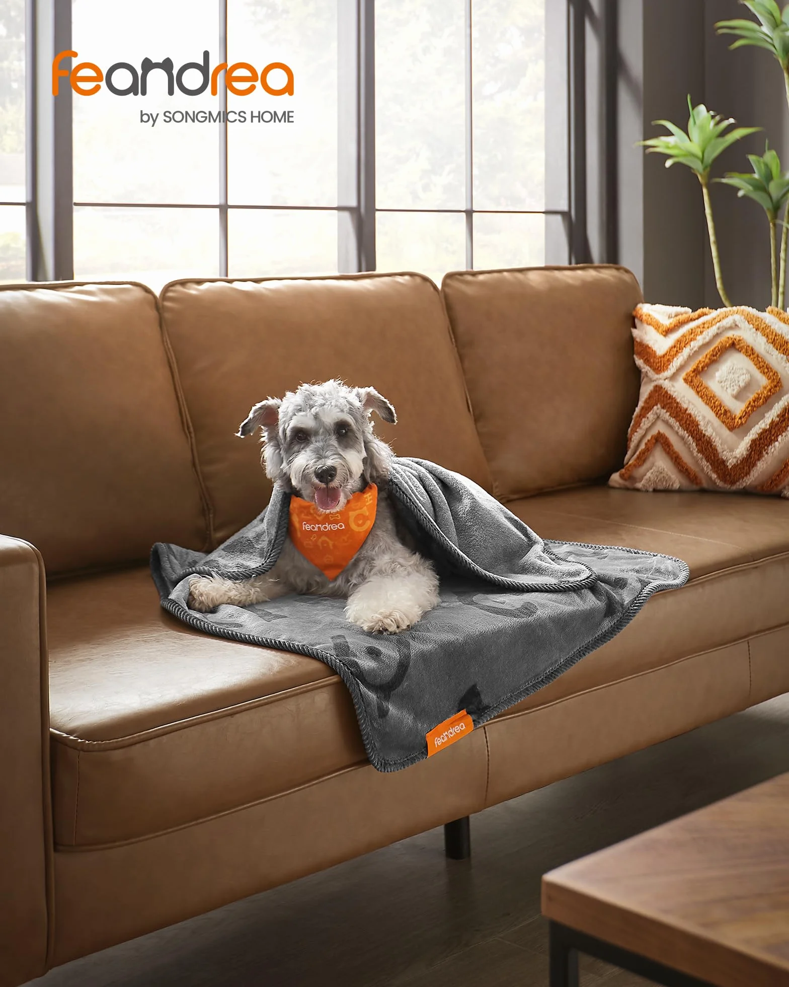 Feandrea Couvertures pour Animaux Lavables, Lot de 3, 102 x 73 cm, pour Chiens Miniatures et Petits, Flanelle, Gris Ardoise