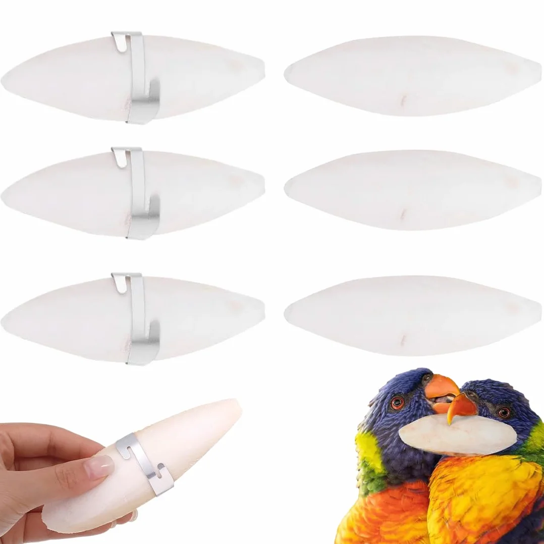 Os de Seiche pour Oiseaux, Tortues et Reptiles, 10cm, 6 Pièces avec Boucles