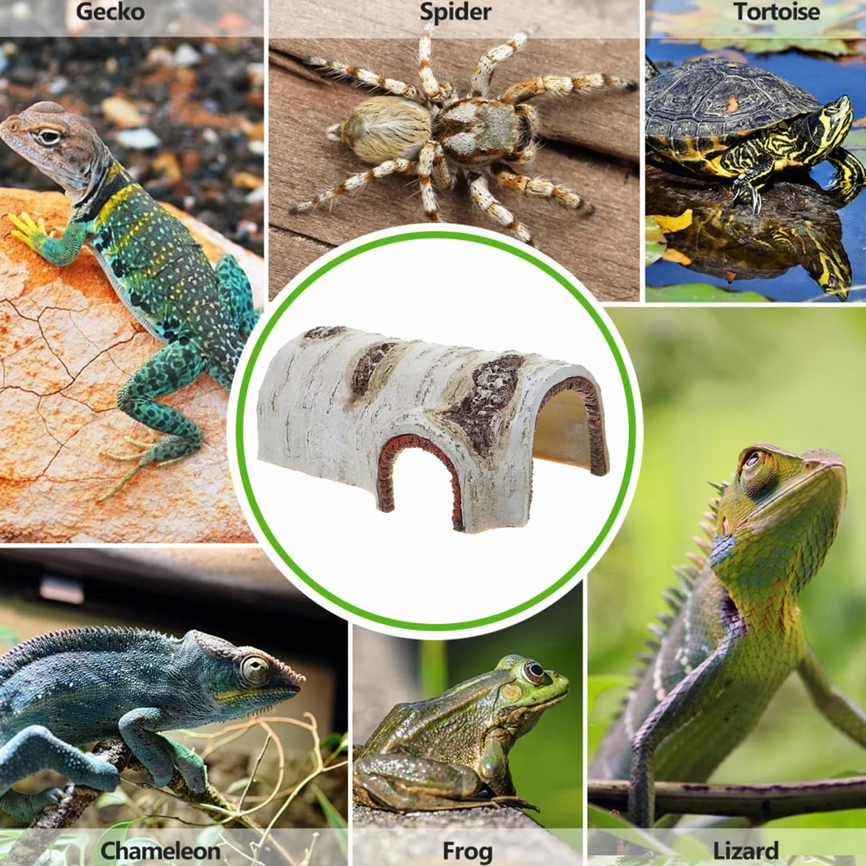 Cachette pour Reptiles Grotte Naturelle pour Tortues Lézards 5.31x3.54x2.17In Abri Frais Terrarium