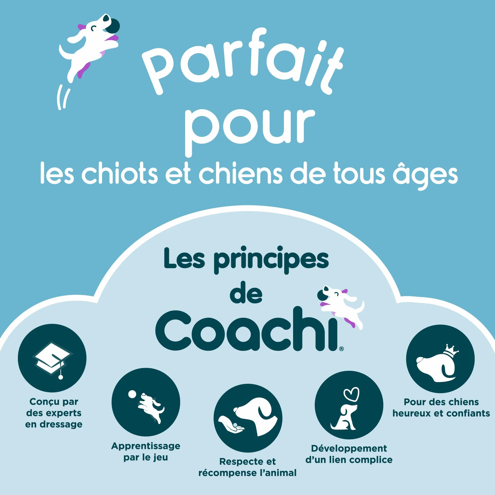 Tuggi Tug Coachi pour chien, solide et doux, dressage amusant, idéal pour rappel, arrêt morsures, pour tous chiens