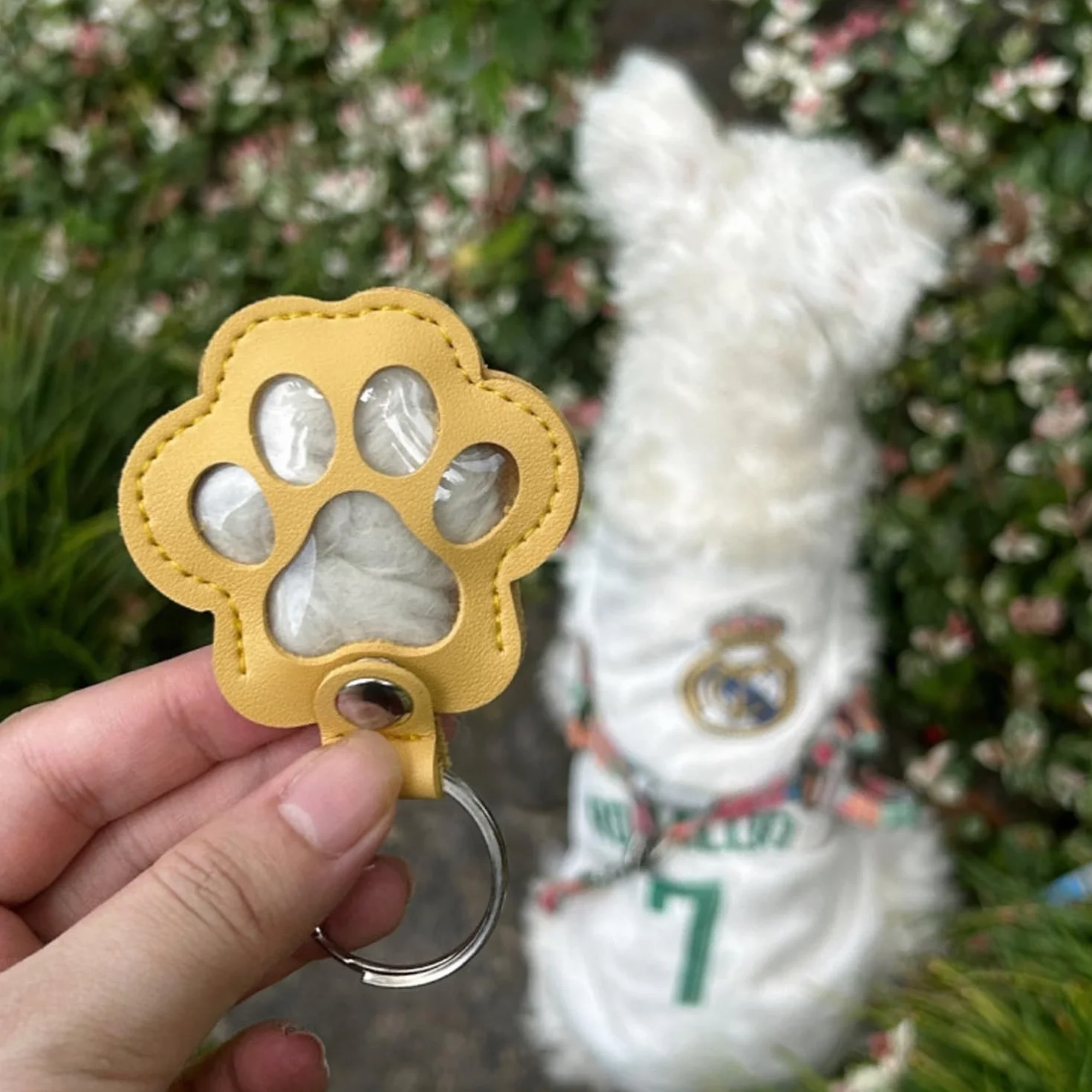 Boîte à Souvenirs Personnalisée pour Poils d'animaux, Rangement pour Poils d'animaux, Porte-Clés en Fourrure pour Animaux De Compagnie (Noir, Blanc, Jaune, Brun Chocolat)