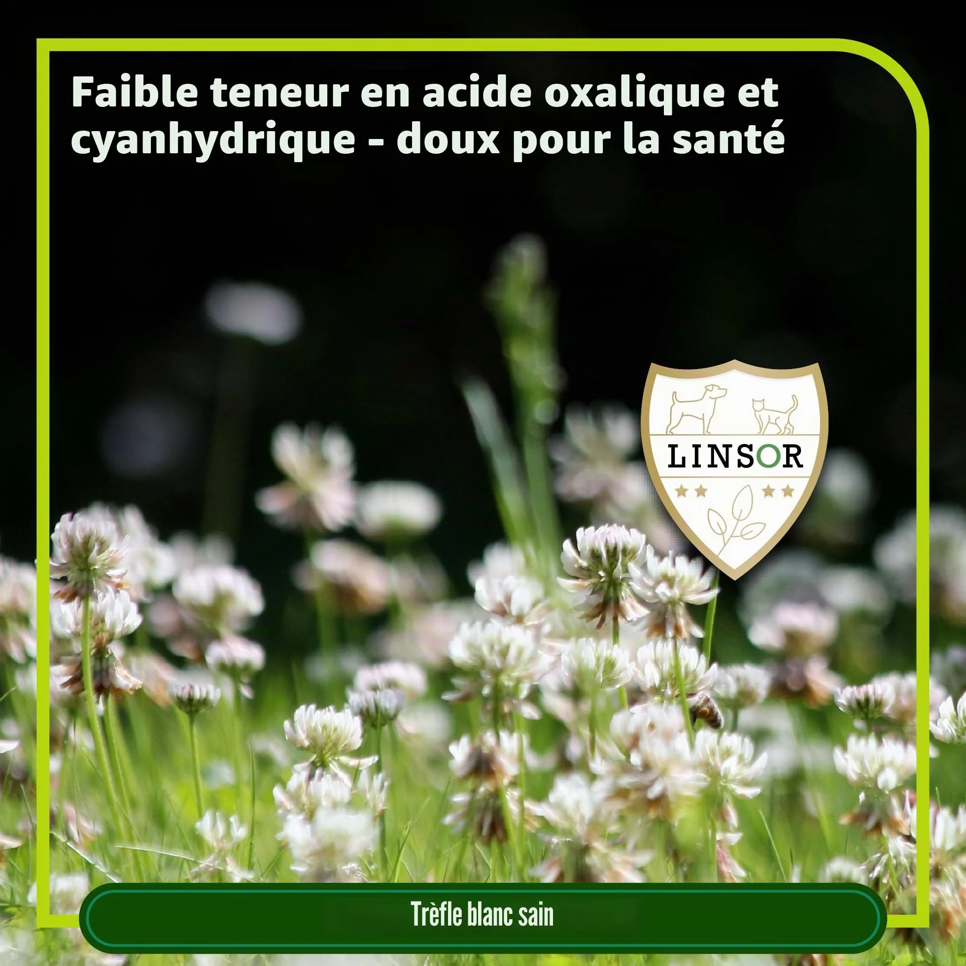 Mélange herbe pour tortues 50 g 17-50 m² Herbes sauvages