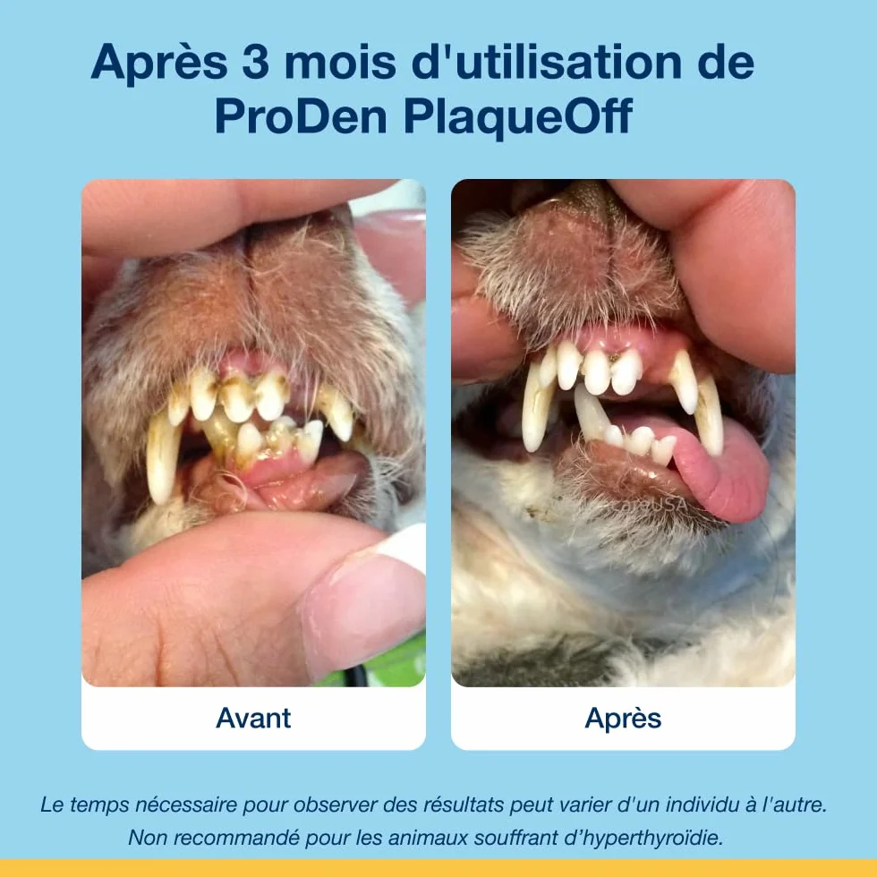 ProDen PlaqueOff Friandises Dentaires Croquantes pour Chats 60g Anti-Tartre Algue Naturelle
