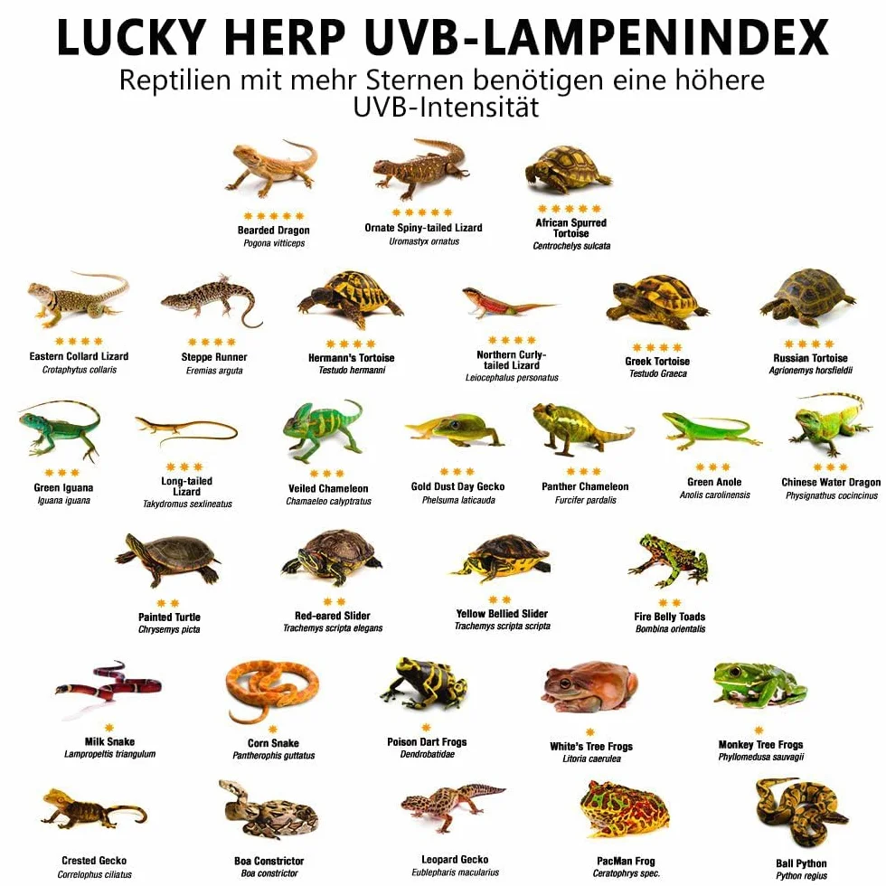 Lampe chauffante UVA UVB pour terrarium E27 125W LUCKY HERP reptiles
