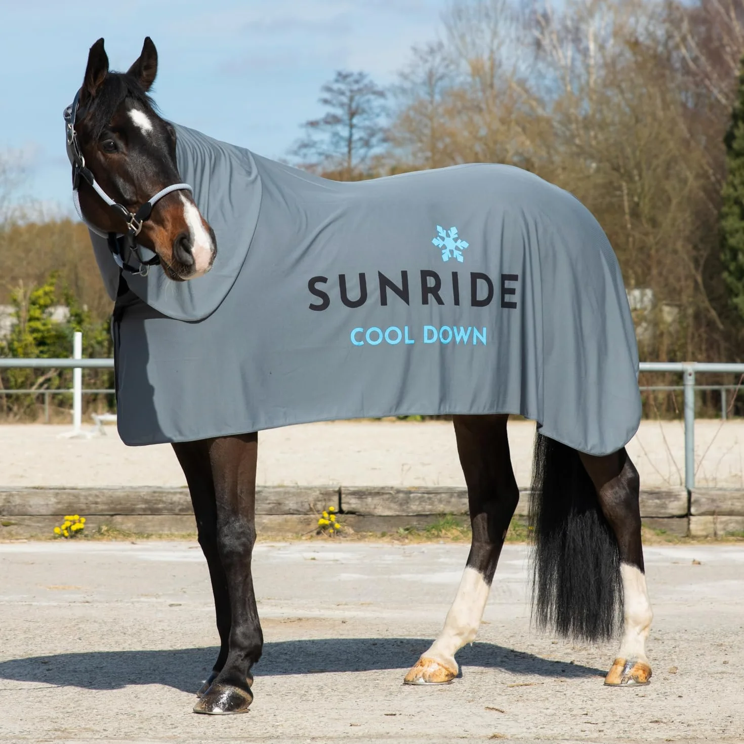 SUNRIDE Couverture rafraîchissante chevaux Cool Down ensemble 3 pièces 125 cm gris
