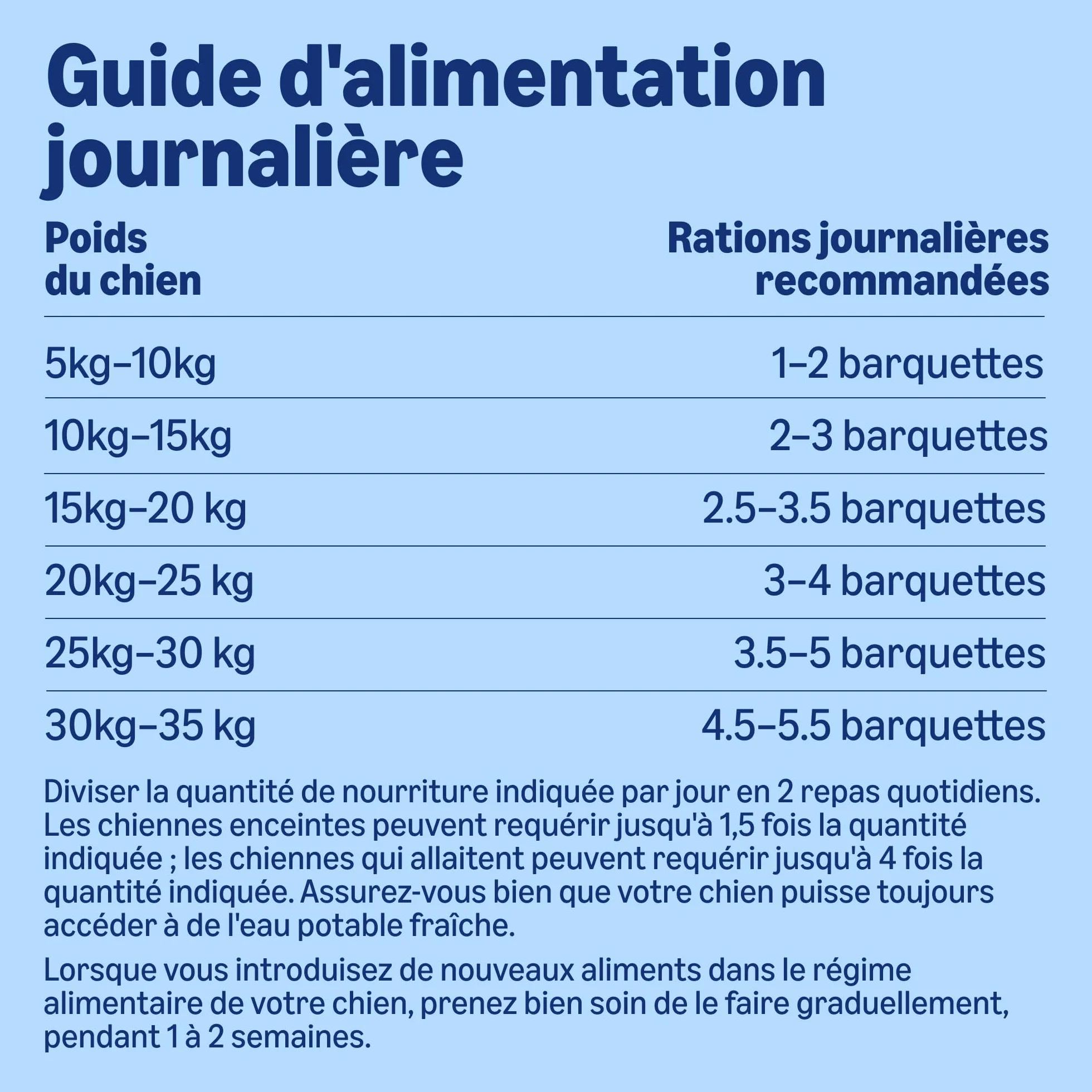 Amazon Nourriture Humide pour Chiens Pâté Mélangé 300g Lot de 20
