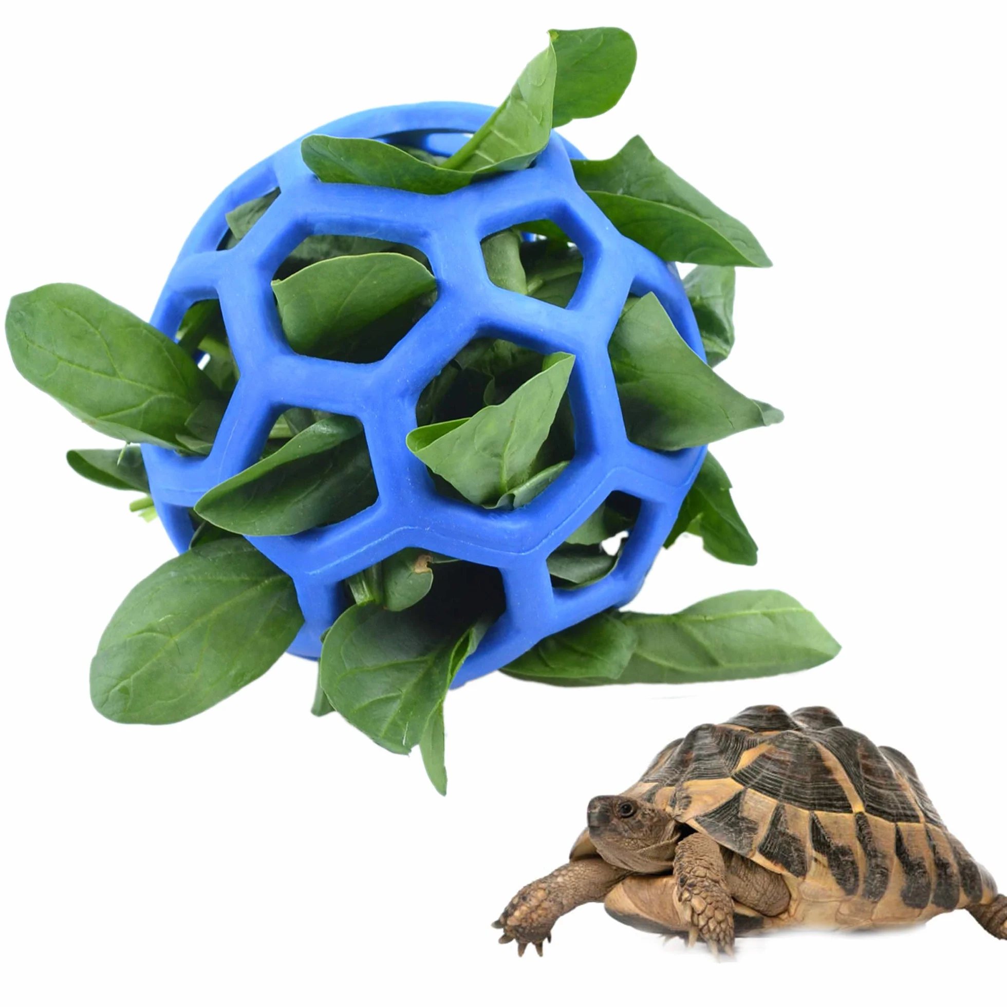 Boule à friandises pour Tortue et Fruits
