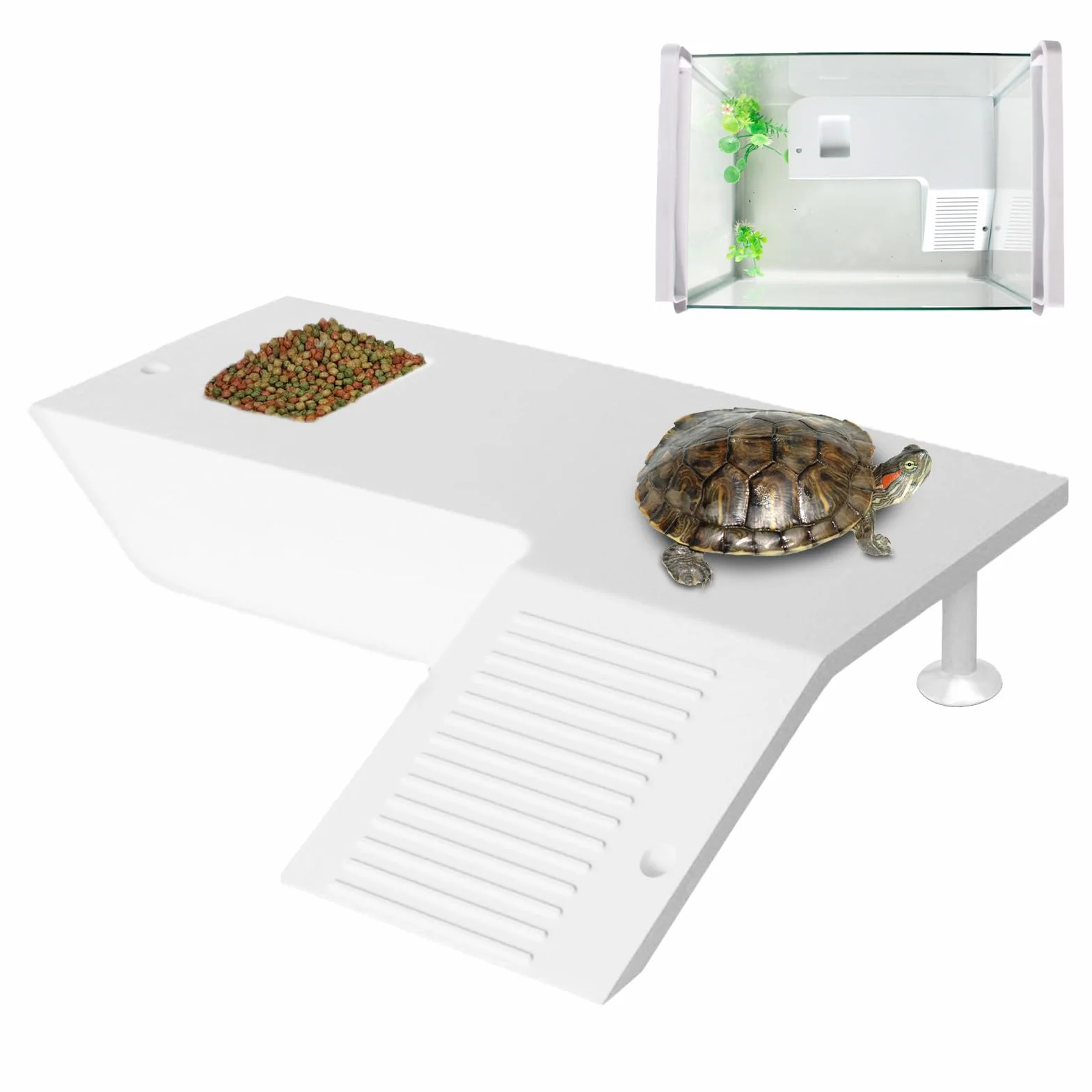 Terrasse pour Reptiles avec Scène d'Escalade Stable, Plateforme de Repos pour Tortues