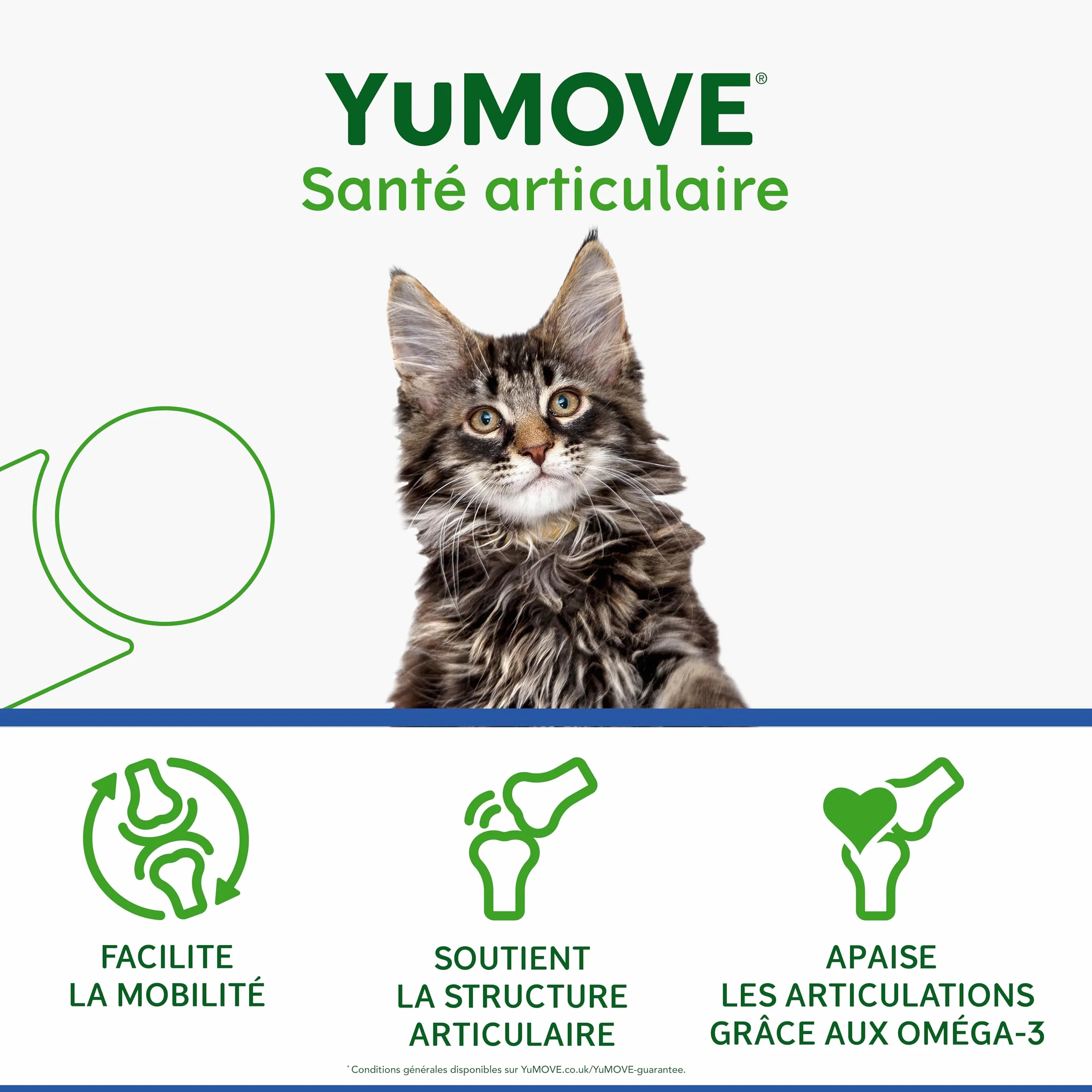YuMOVE Articulation Chat 8 Ans et Plus – 60 Gélules à Saupoudrer – Glucosamine Chondroïtine & Huile de Poisson pour Chats Âgés