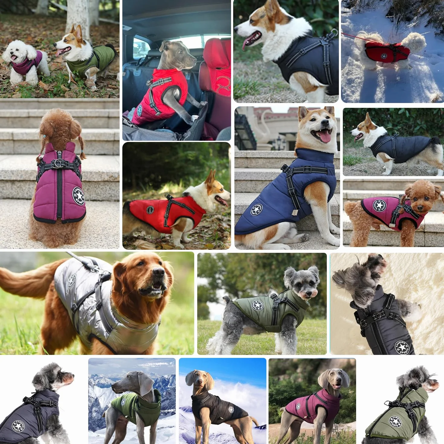 Manteau d'hiver Imperméable pour Chien avec Harnais Veste Réfléchissante Coupe-Vent Petit Moyen