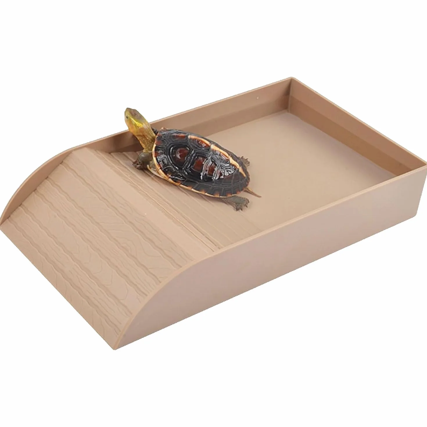 Abreuvoir Tortue Terrestre Bac à Eau avec Rampe Accessoire Aquarium Reptile